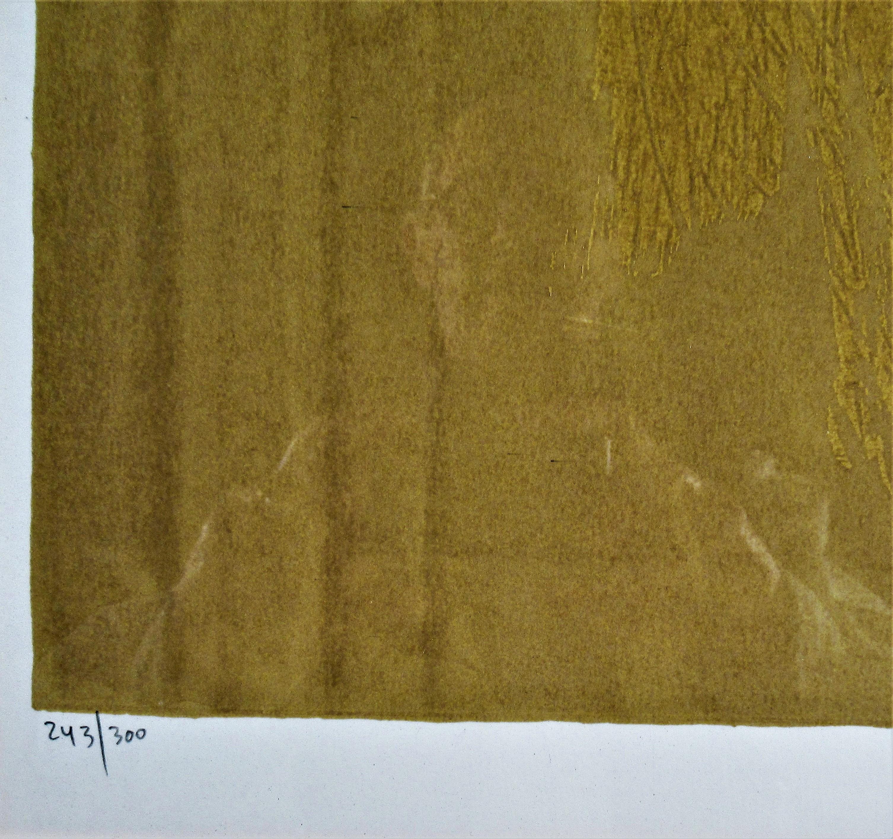 tarkay prints signed