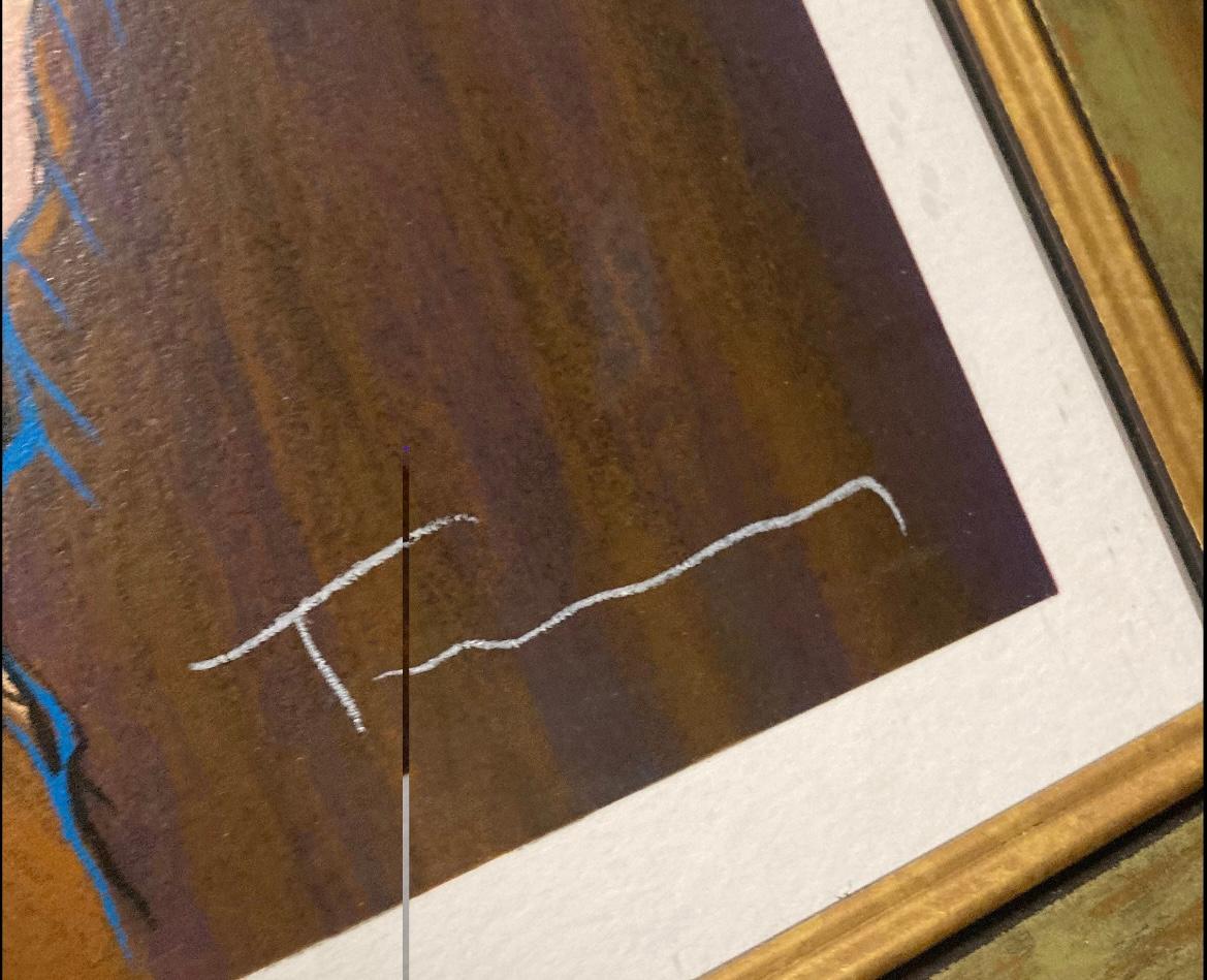 Questa è una serigrafia di Itzchak Tarkay firmata e numerata 