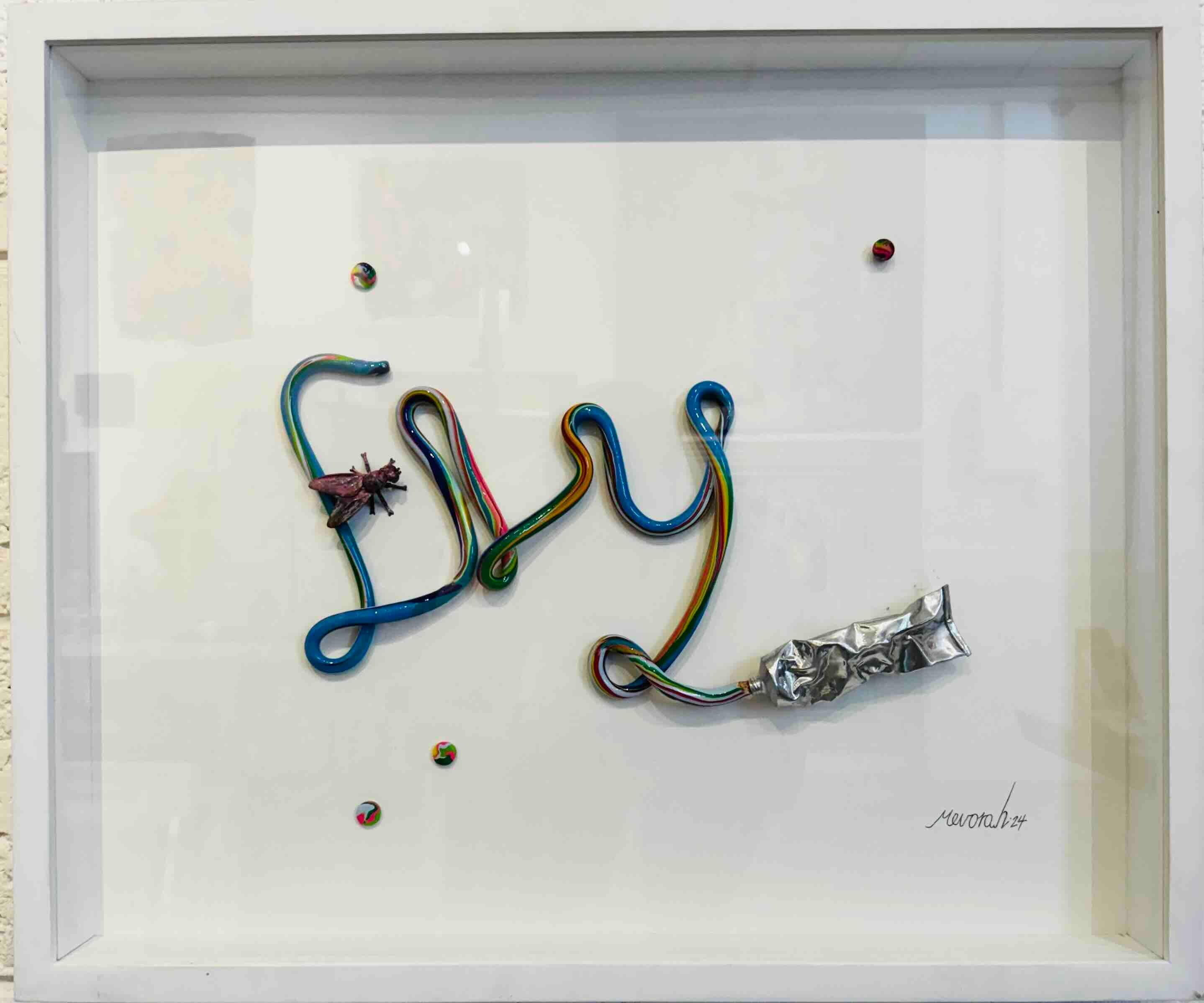 Fly - pop art painting, wall sculpture - Painting by Itzik Mevorah
