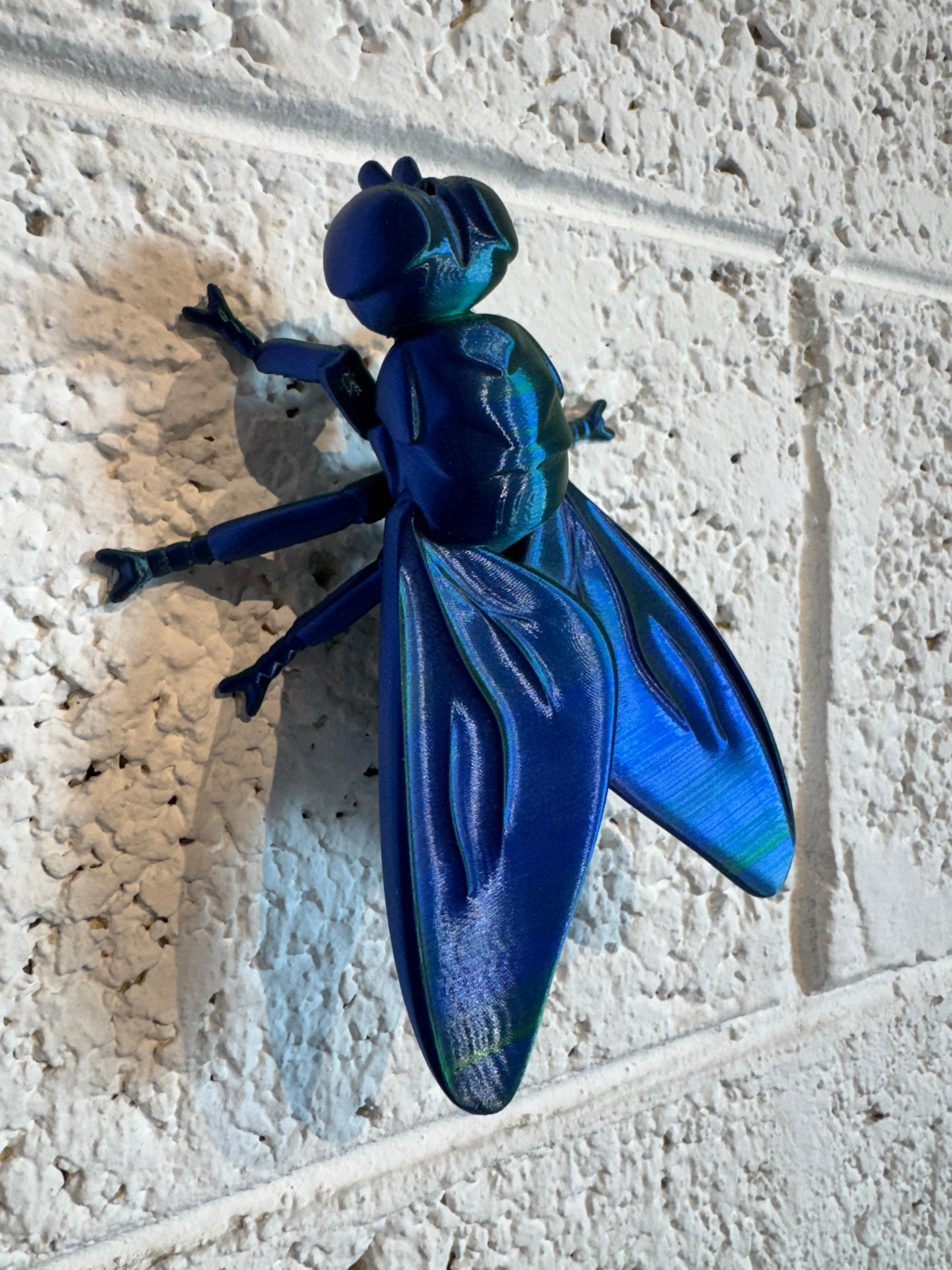 Itzik Mevorah Figurative Sculpture - Synthetic Fly (blue green) - pop art sculpture, wall sculpture