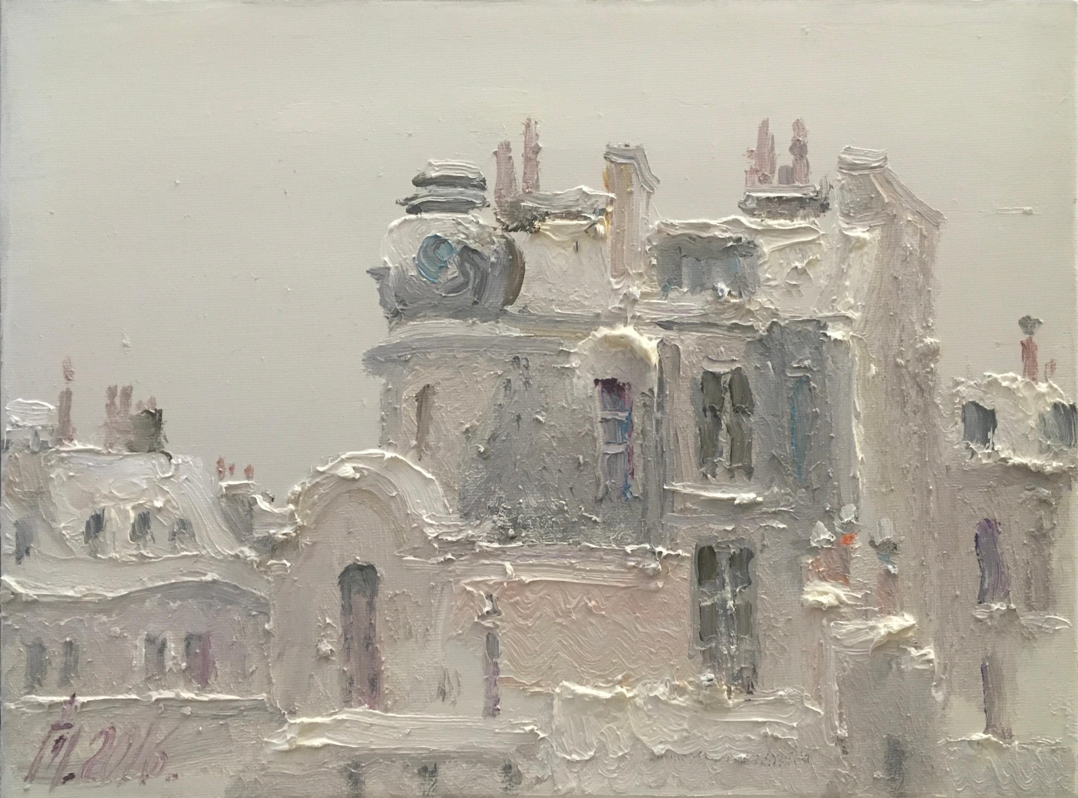 "Winter roofs of Paris"