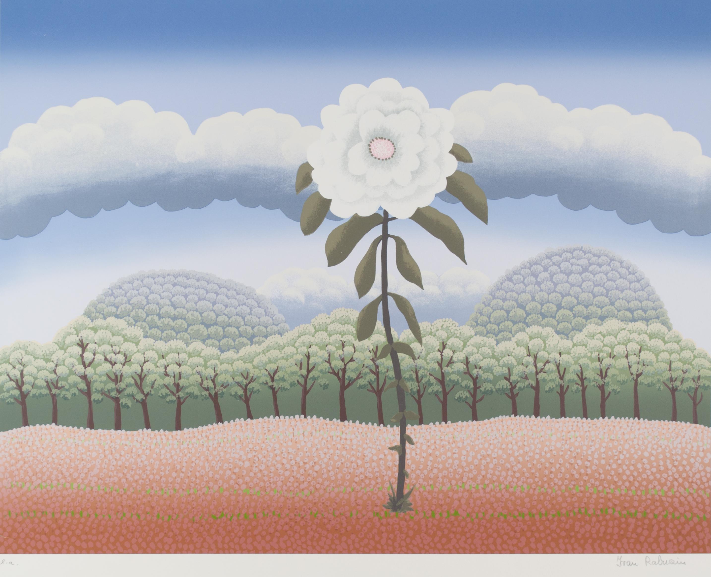 Ivan Rabuzin Landscape Print - White flower