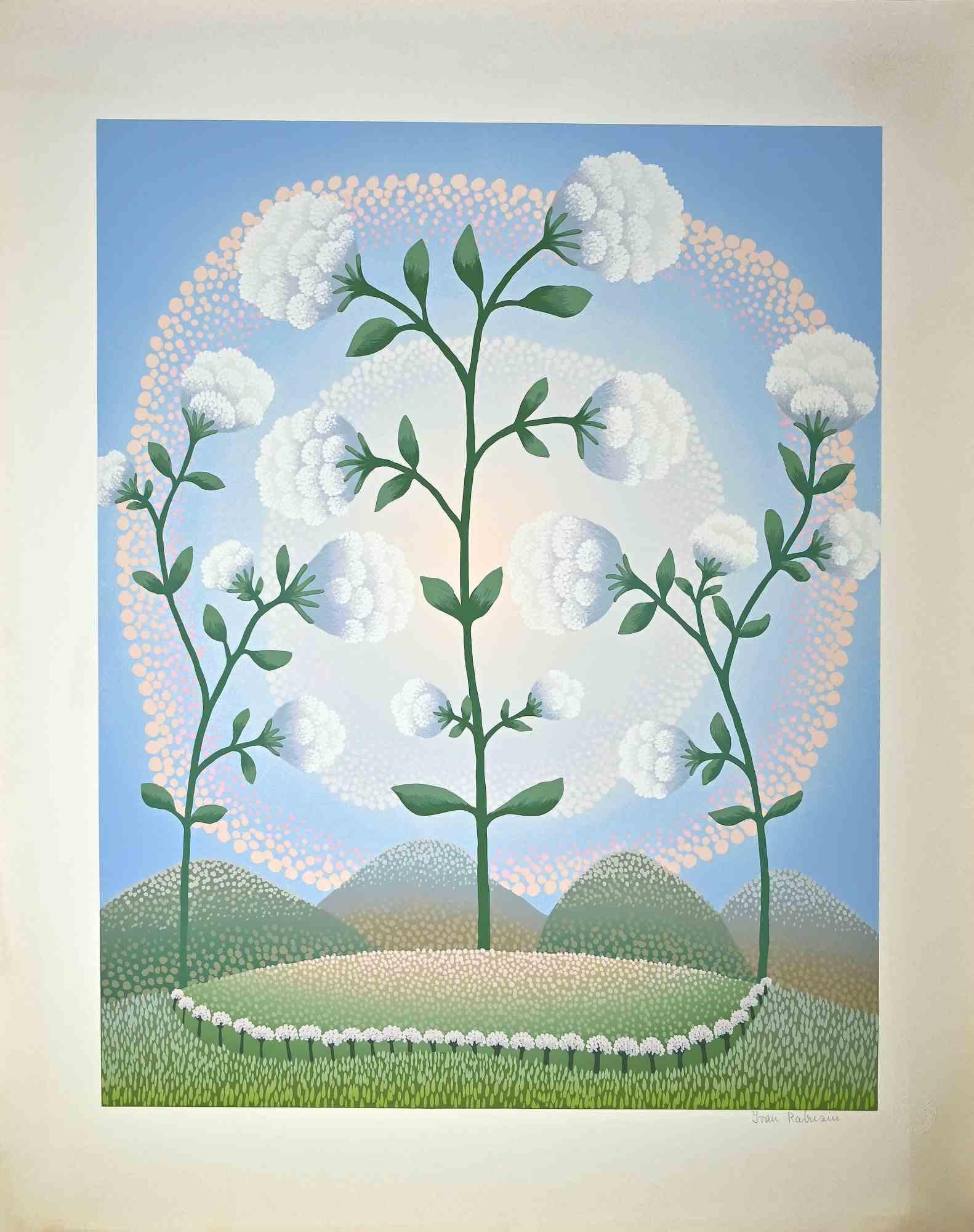White Flowers  is an original colored screen print on paper realized by Ivan Rabuzin in the 1990s.

Hand-signed in pencil on the lower margin.  Artist's proof. 

Excellent conditions. 

This very fine print, representing white flowers rising among