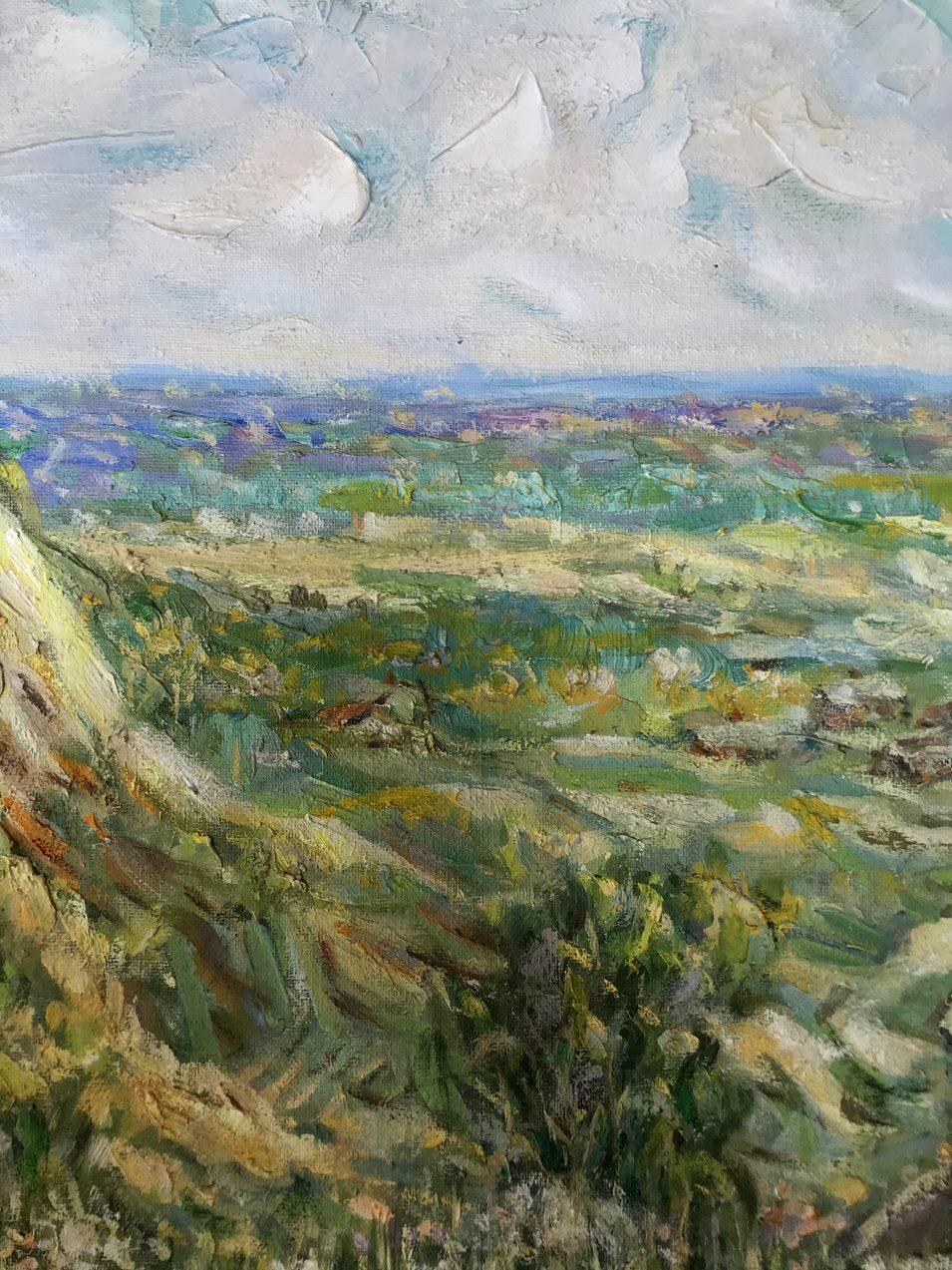 Lebedinsky Region, Original oil Painting, Handmade, Ready to Hang For Sale 4