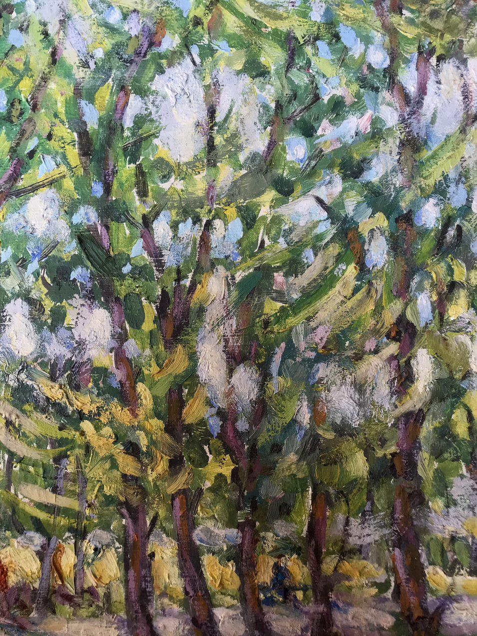 Sumy Park, Original-Ölgemälde, handgefertigt, hängefertig (Impressionismus), Painting, von Ivan Shapoval