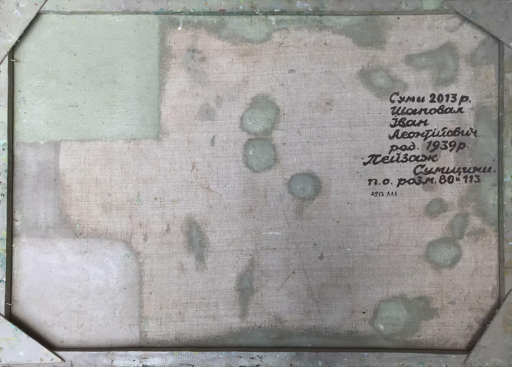Il paesaggio della regione di Sumy, Pittura ad olio originale, fatta a mano, pronta da appendere - Painting di Ivan Shapoval