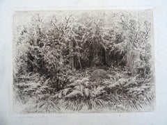Anthill. 1885, paper, etching, 18x24 cm