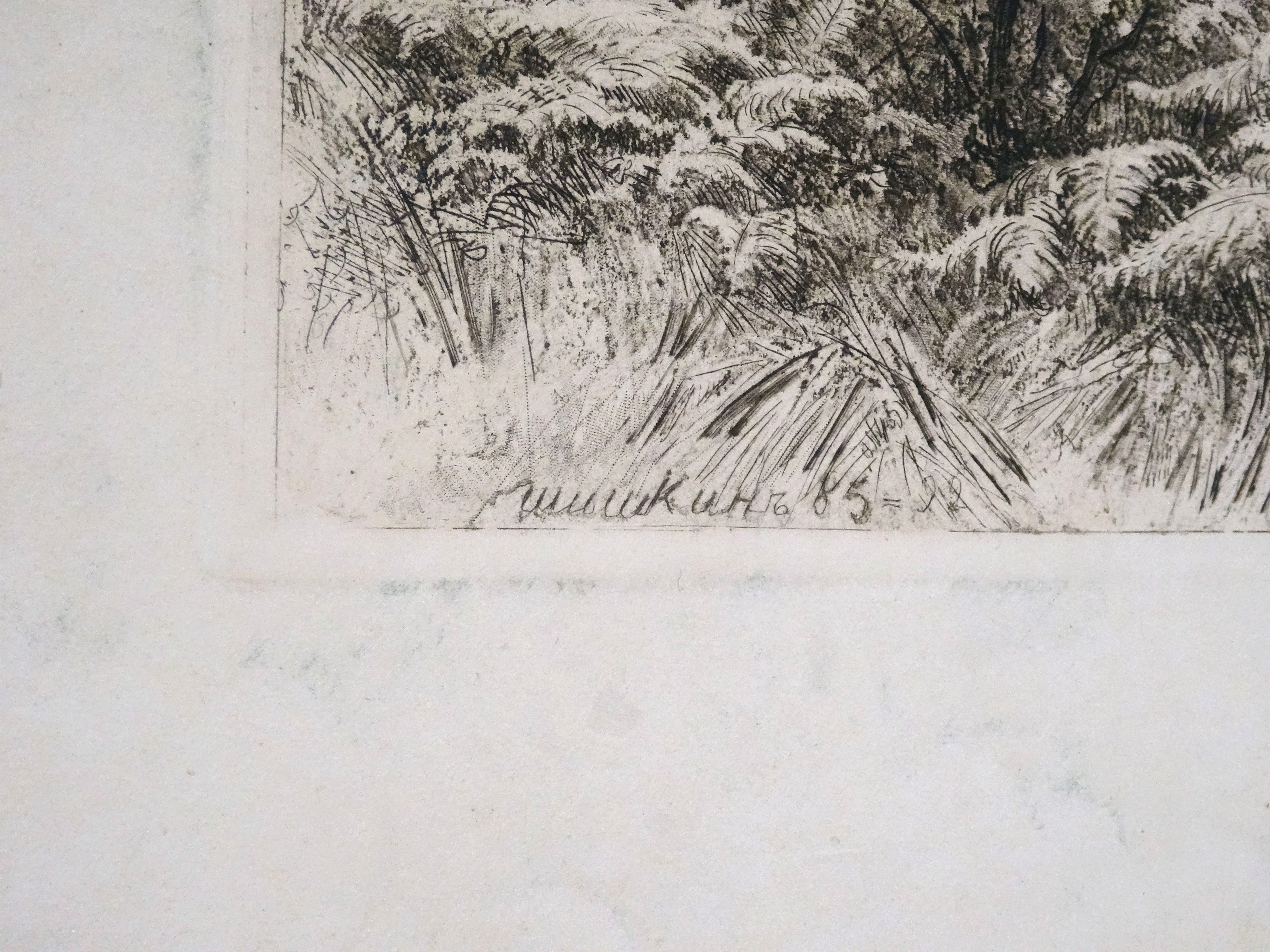 anthill by ivan shishkin