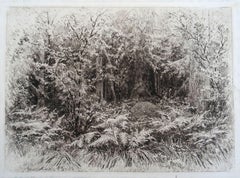 Anthill. 1885, paper, etching, 18x24 cm