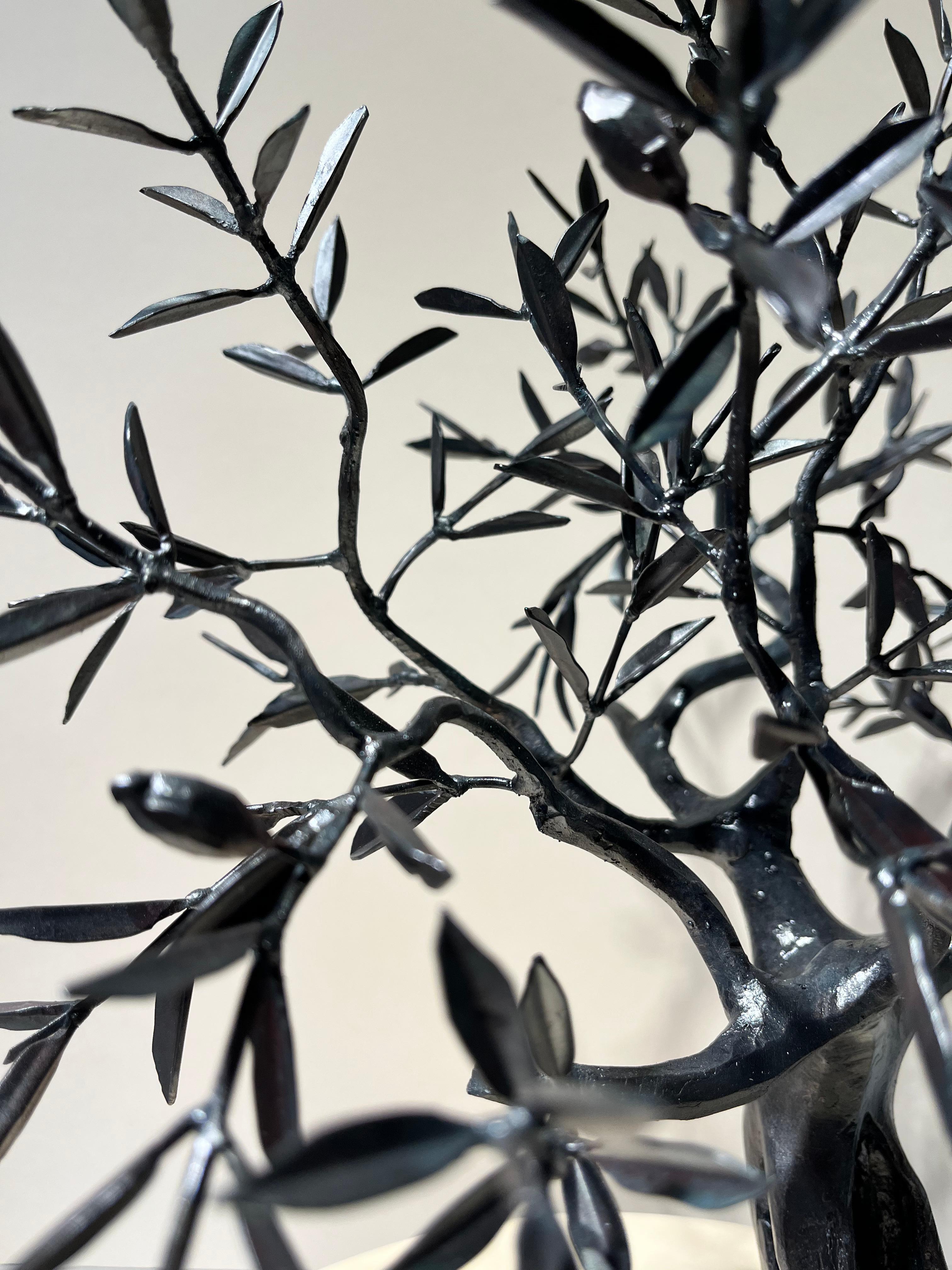Arbre Bonsaï Ulive sculpture en fer forgé noir par un maître italien en vente 2