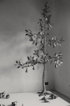 Italian Pear tree, indoor and outdoor wrought iron sculpture. Unique proof.