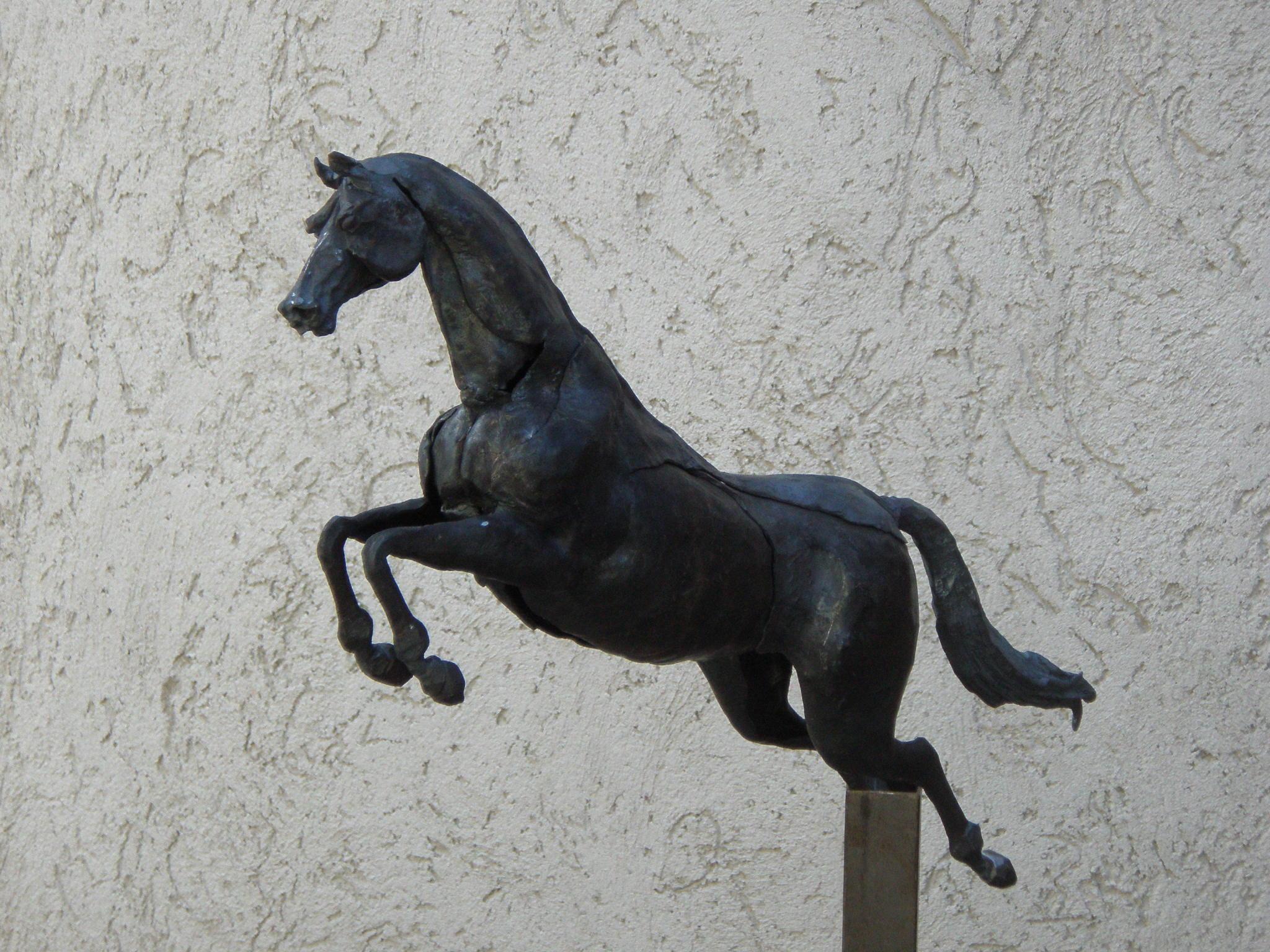 Schwarzes springendes Pferd, schwarze schmiedeeiserne Tierskulptur des italienischen Schmieds Zanoni (Naturalismus), Sculpture, von Ivan Zanoni