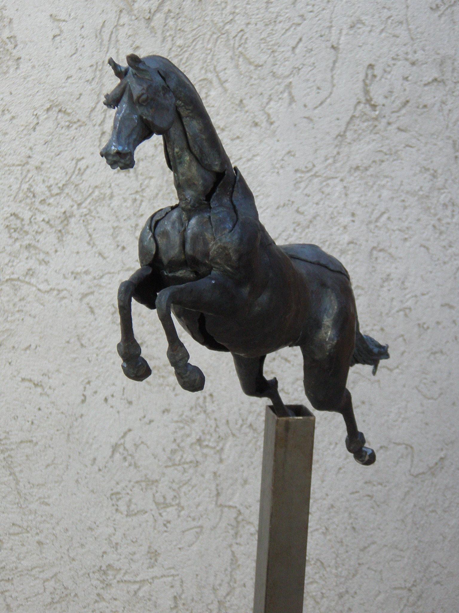 Springendes Pferd
Einzigartige Schmiedeeisen-Skulptur von Ivan Zanoni

Die einzigartige Skulptur 