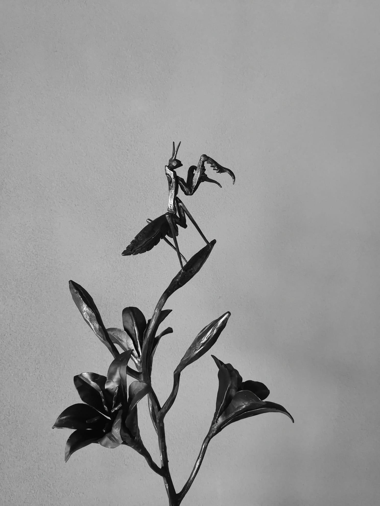 Lily and praying mantis hand-forged in wrought iron - Sculpture by Ivan Zanoni