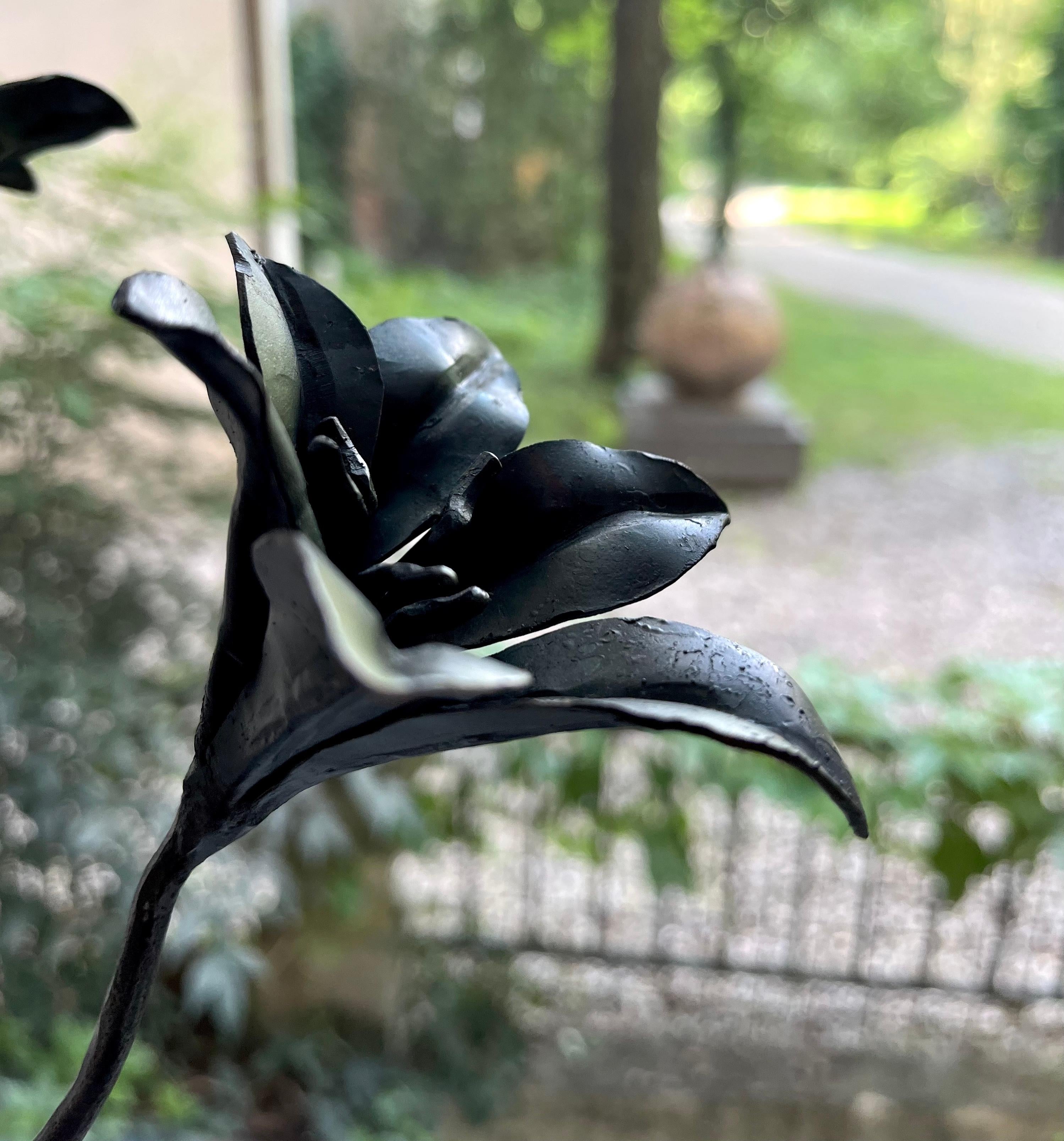 Description:
A marvellous balance between the animal and plant worlds is the spell forged in metal by Ivan Zanoni: the lily, symbol of purity, welcomes on its top the praying mantis, a noble and proud insect whose name is derived from the