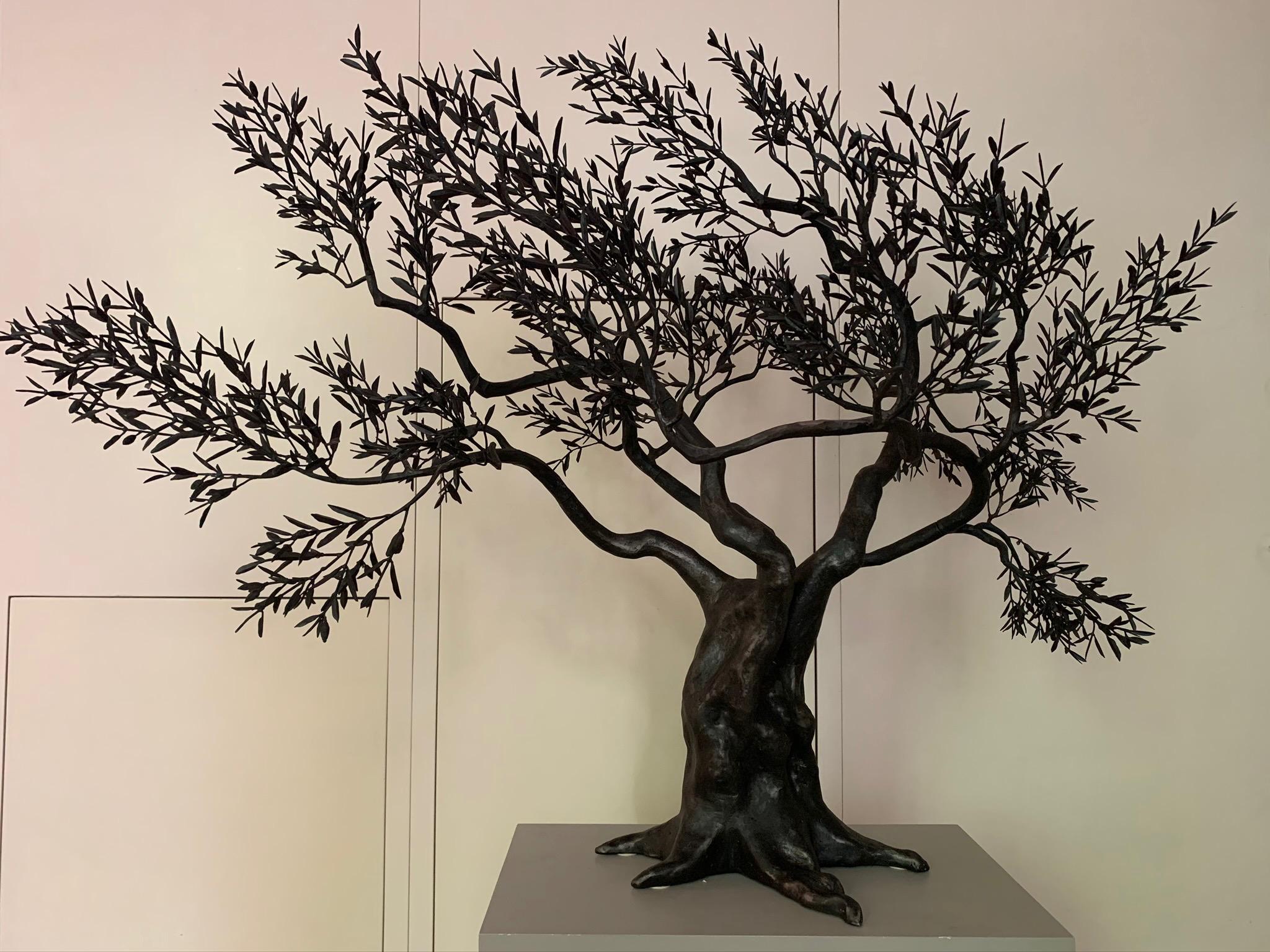 Ivan Zanoni Still-Life Sculpture - Olive Tree 