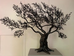 Tree d'olivier