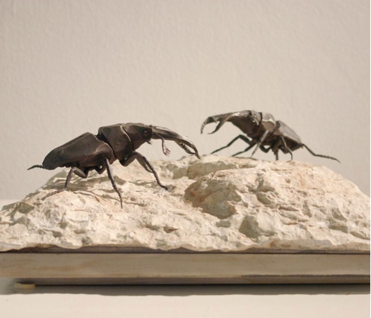 Paire de scarabées en fer forgé sur une pierre de rivière, tous encadrés par un plateau en acier
