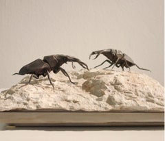 Pair of wrought iron stag beetles on a river stone all "framed" by a steel tray