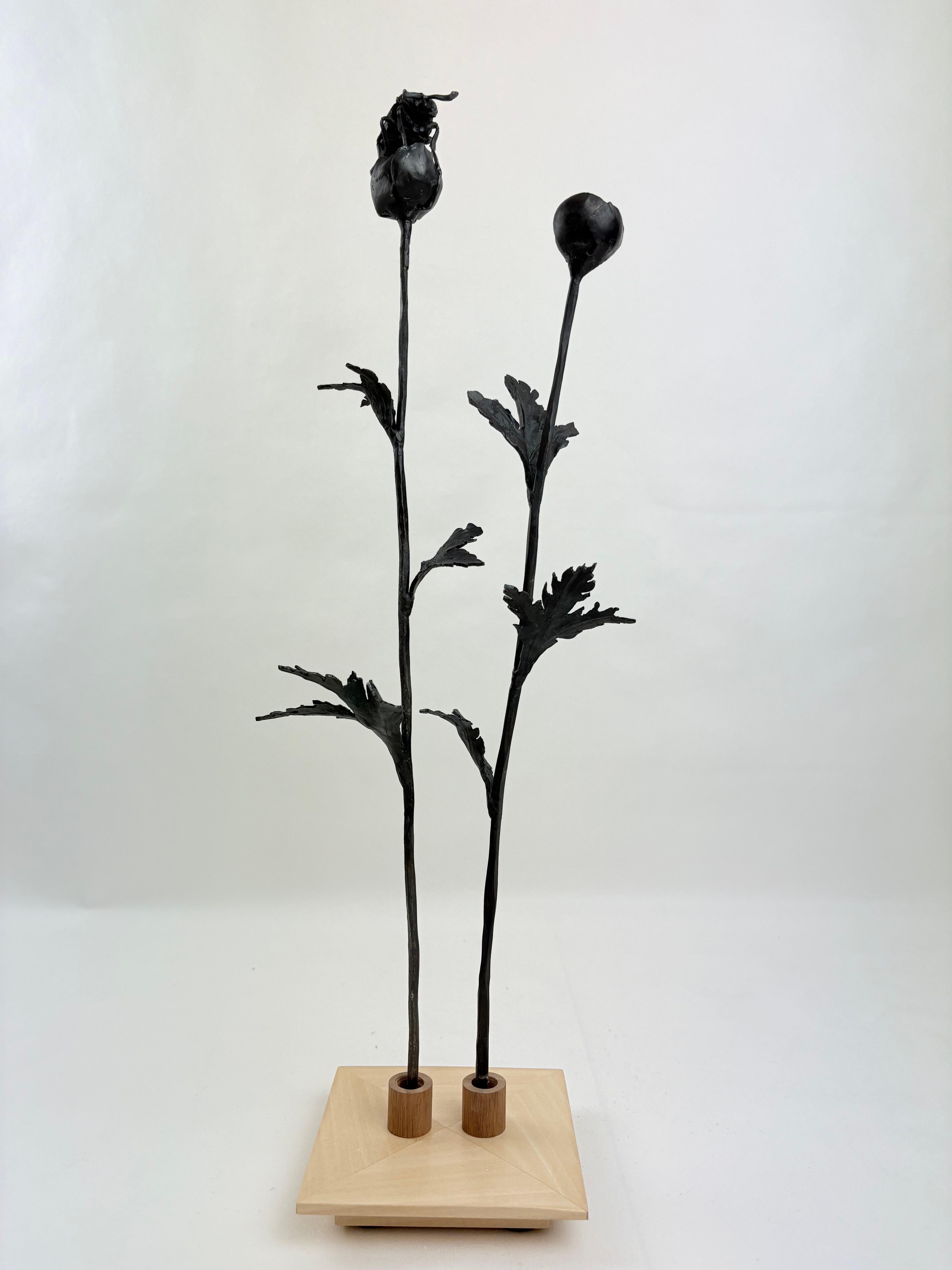 Scarabée sur un bouton d'or - La nature forgée dans le fer - Sculpture de Ivan Zanoni