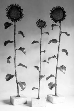 Sunflower - Wrought iron indoor and outdoor sculpture