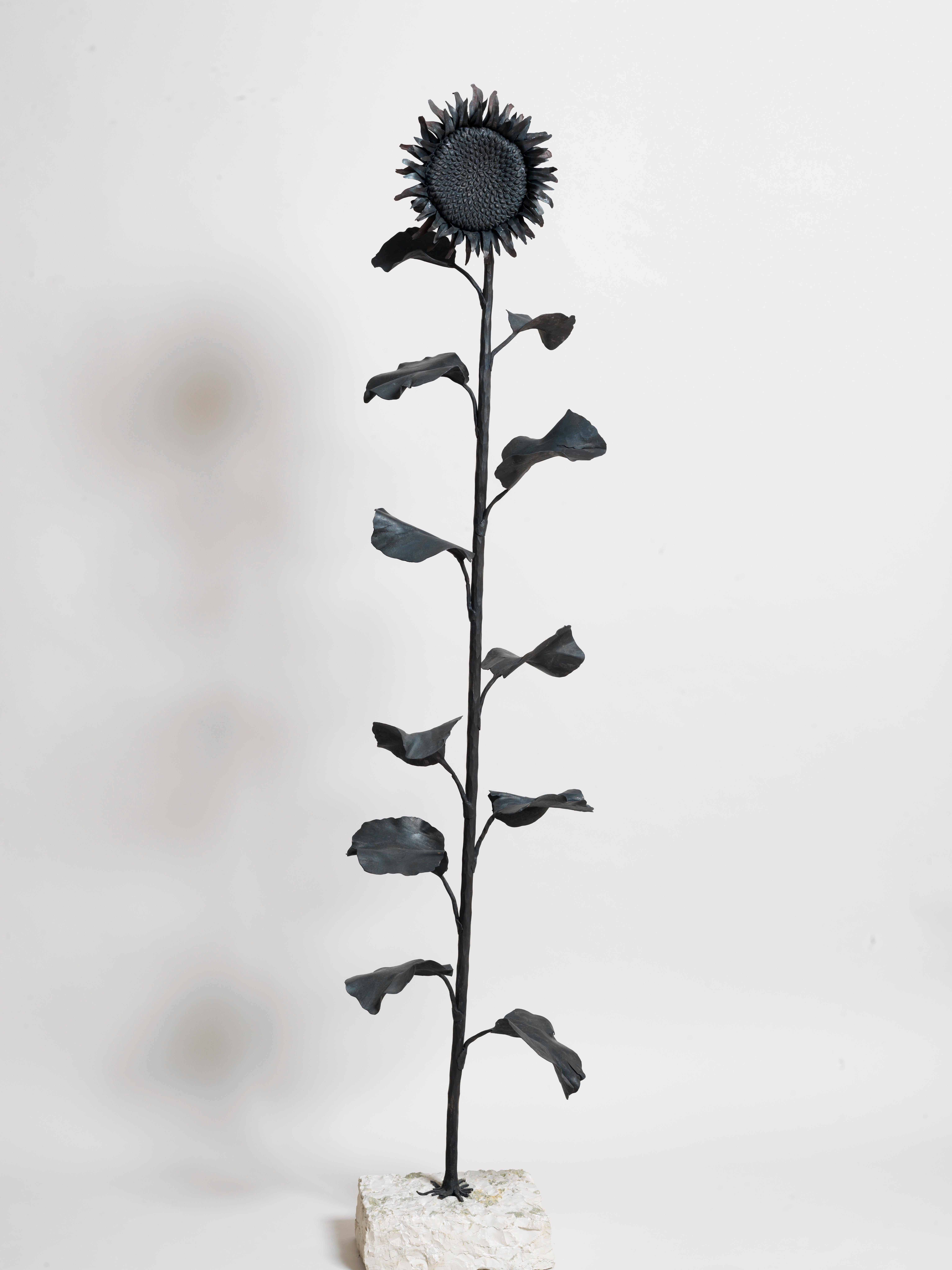 Figurative Sculpture di Ivan Zanoni - Sunflower - Wrought iron indoor and outdoor sculpture
