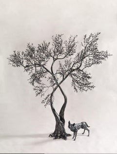 Unique wrought iron two branches Olive tree - outdoor indoor sculpture