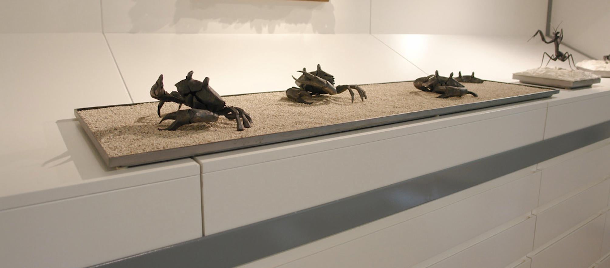 The march of the crabs, series of wrought-iron sculptures by Italian blacksmith For Sale 5