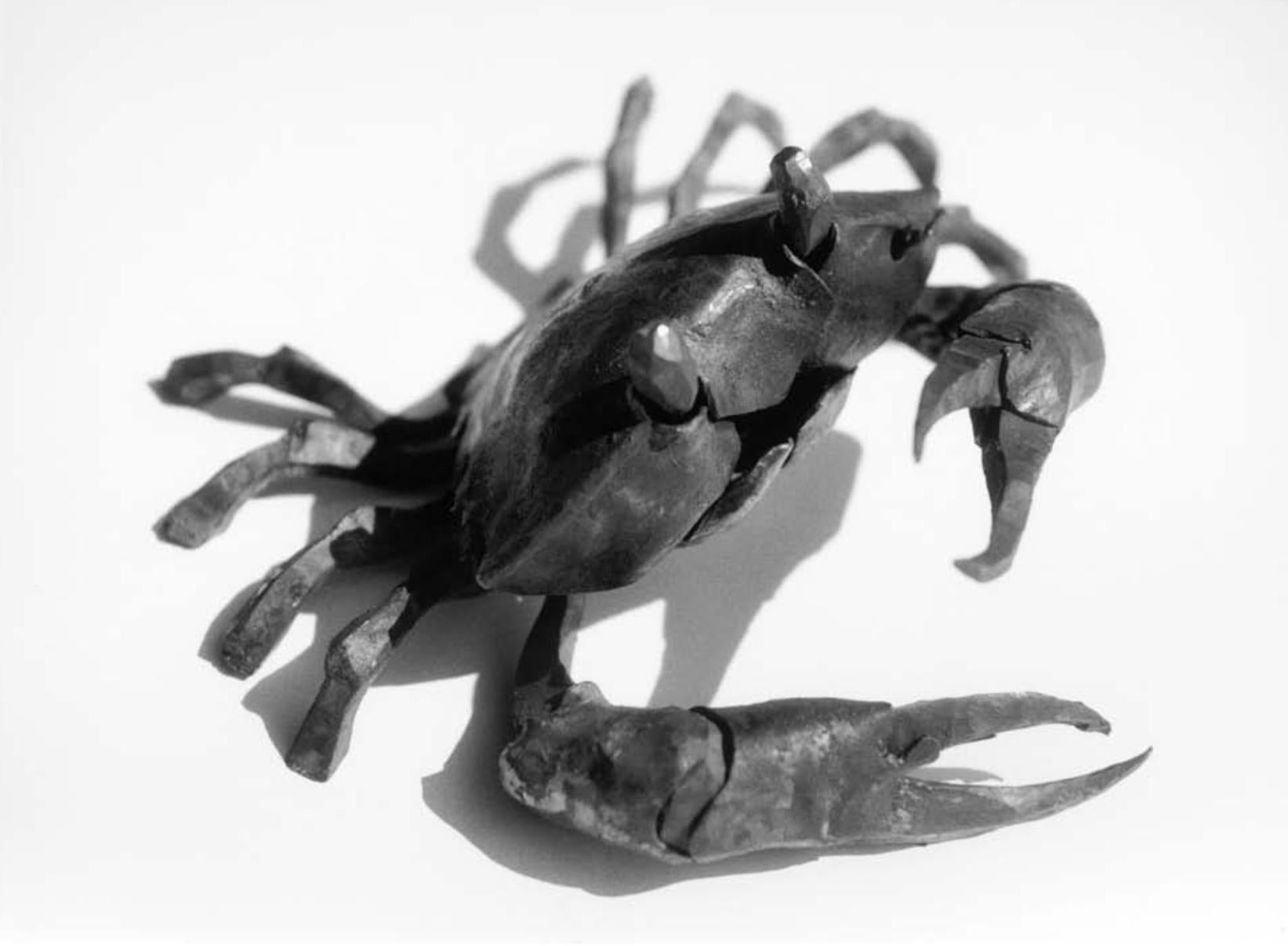 The march of the crabs, series of wrought-iron sculptures by Italian blacksmith - Sculpture by Ivan Zanoni