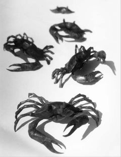 The march of the crabs, series of wrought-iron sculptures by Italian blacksmith