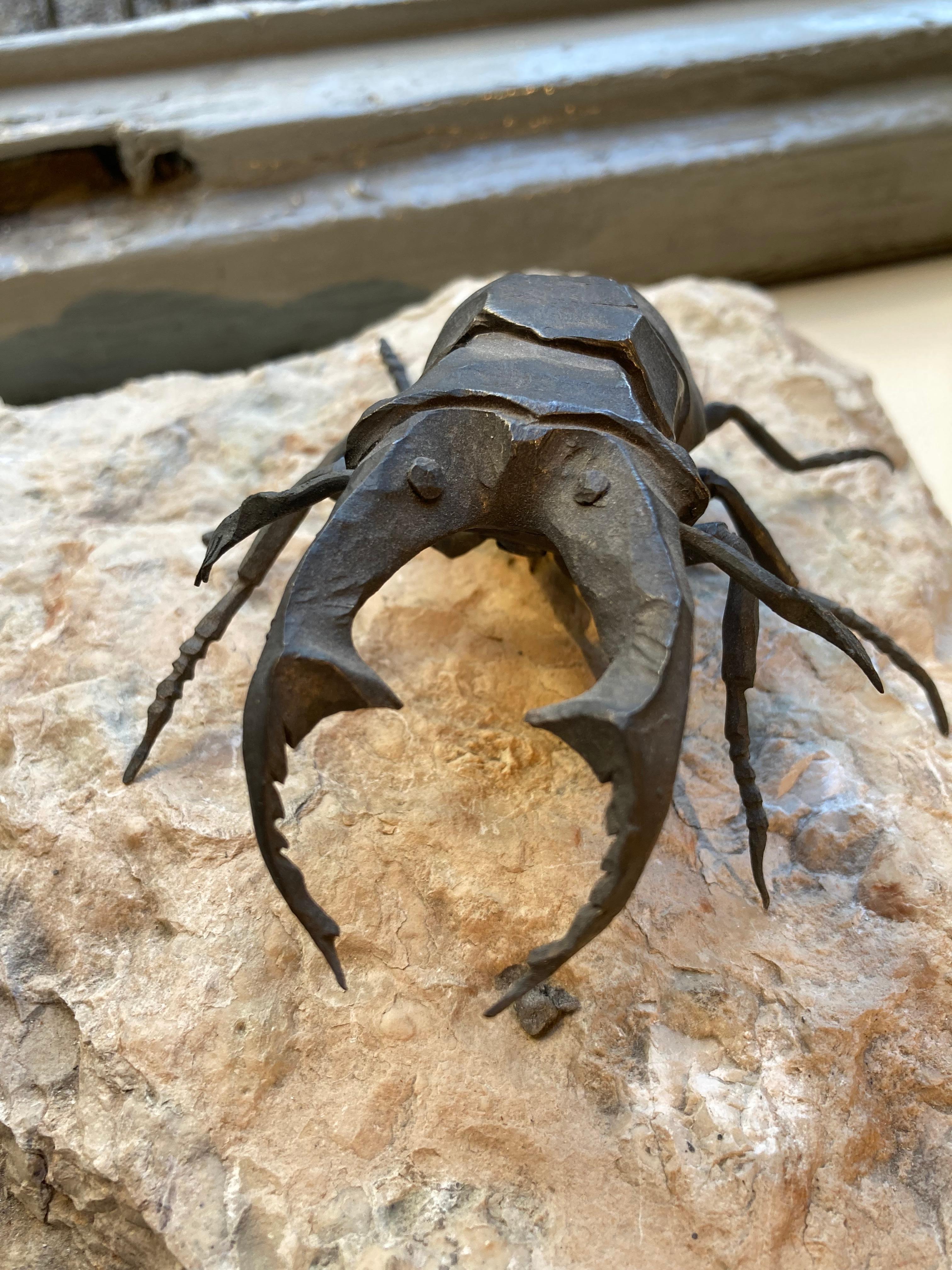 Paire de scarabées en fer forgé sur une pierre de rivière, tous encadrés par un plateau en acier - Naturalisme Sculpture par Ivan Zanoni