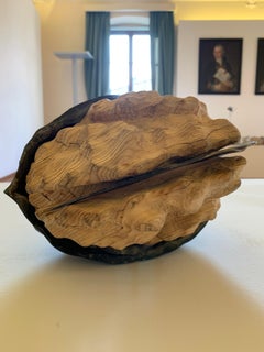 Sculpture installation of six walnut shells made of walnut wood and wrought iron