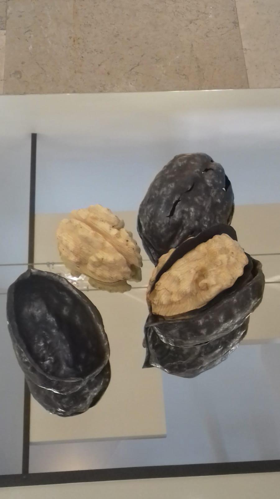 Skulptur-Installation aus sechs Muscheln aus Nussbaumholz und Schmiedeeisen (Naturalismus), Sculpture, von Ivan Zanoni