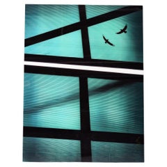 Ivana Vostrakova ‘birds’ Photographic Art Work