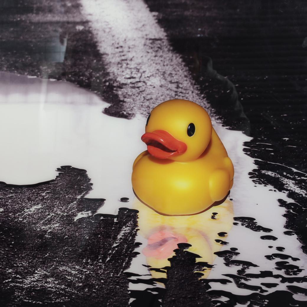 Ivana Vostrakova - Obra de arte digital 