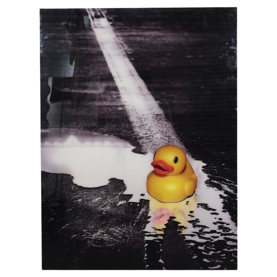 Ivana Vostrakova - "Spring Swimming" Œuvre d
art numérique, 2013