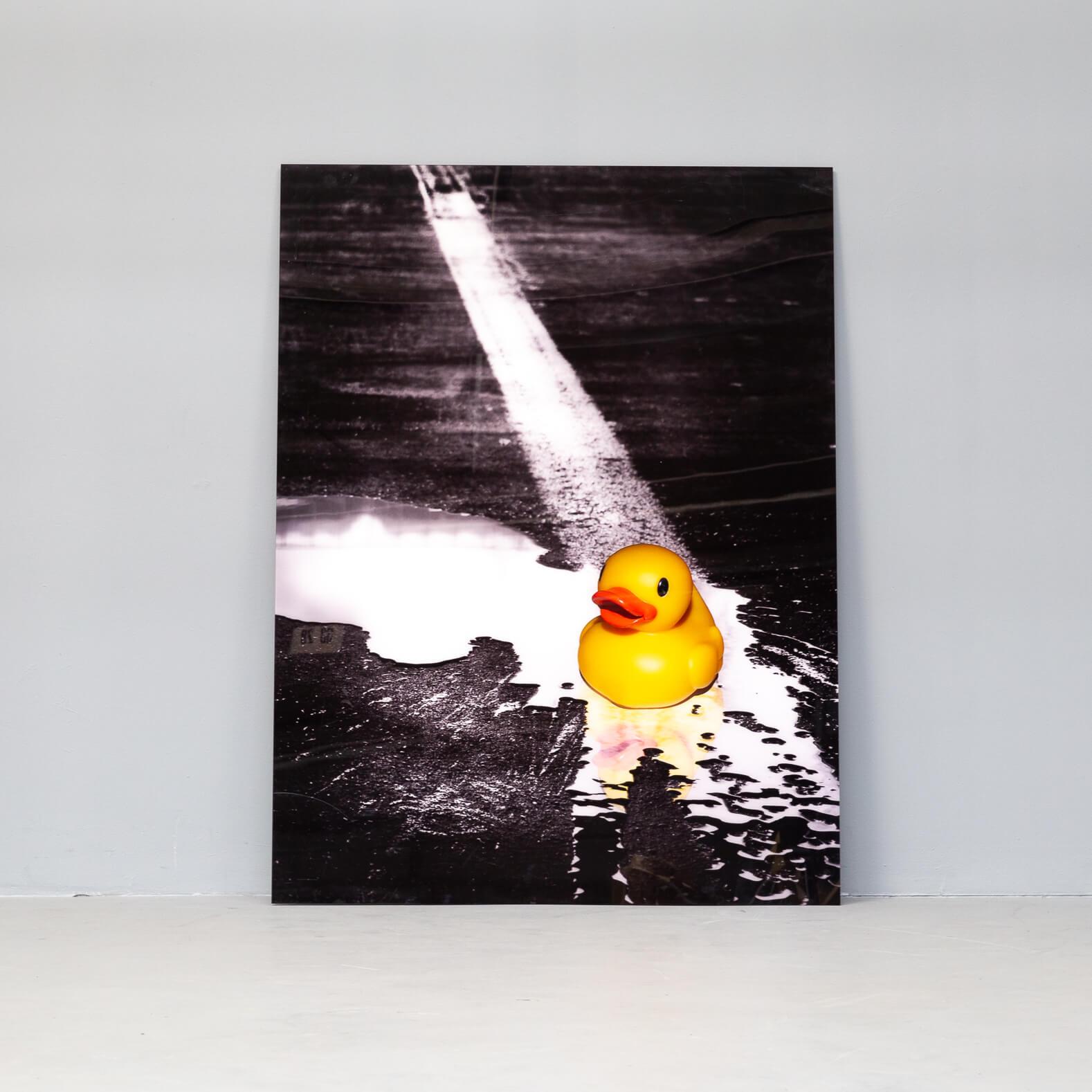 Modern Ivana Vostrakova ‘Spring Swimming’ Photographic Art Work For Sale