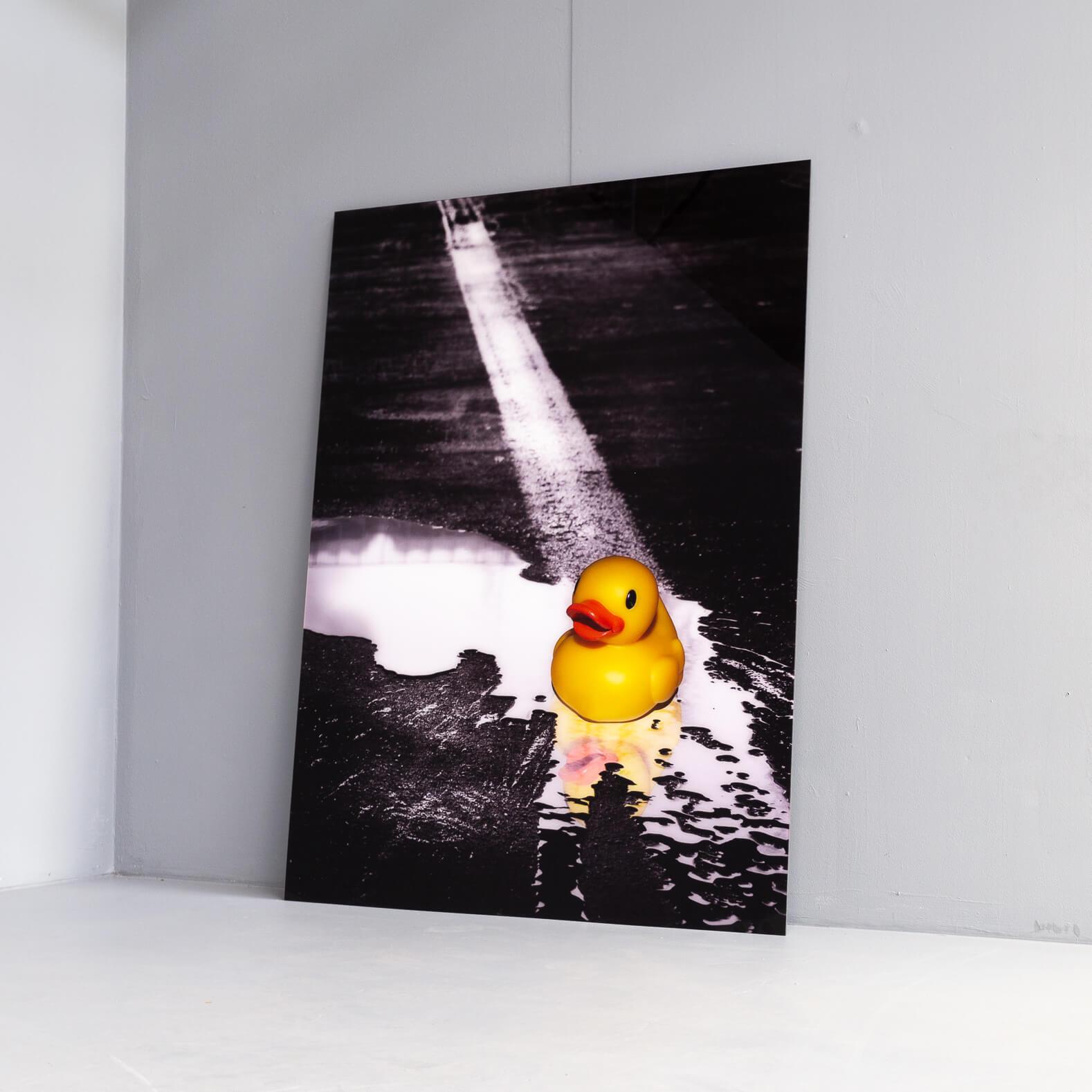 Czech Ivana Vostrakova ‘Spring Swimming’ Photographic Art Work For Sale
