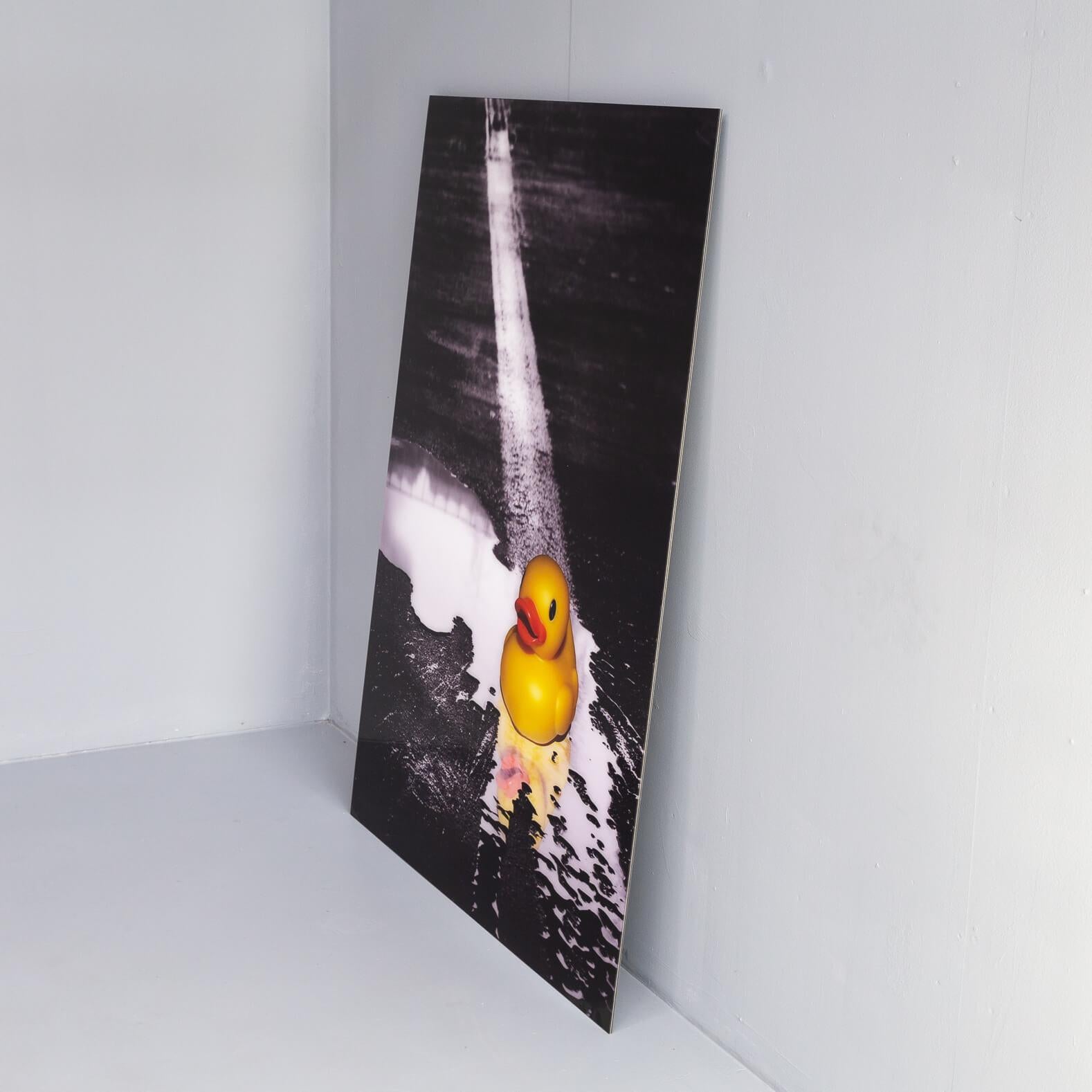 Ivana Vostrakova ‘Spring Swimming’ Photographic Art Work In Good Condition For Sale In Amstelveen, Noord