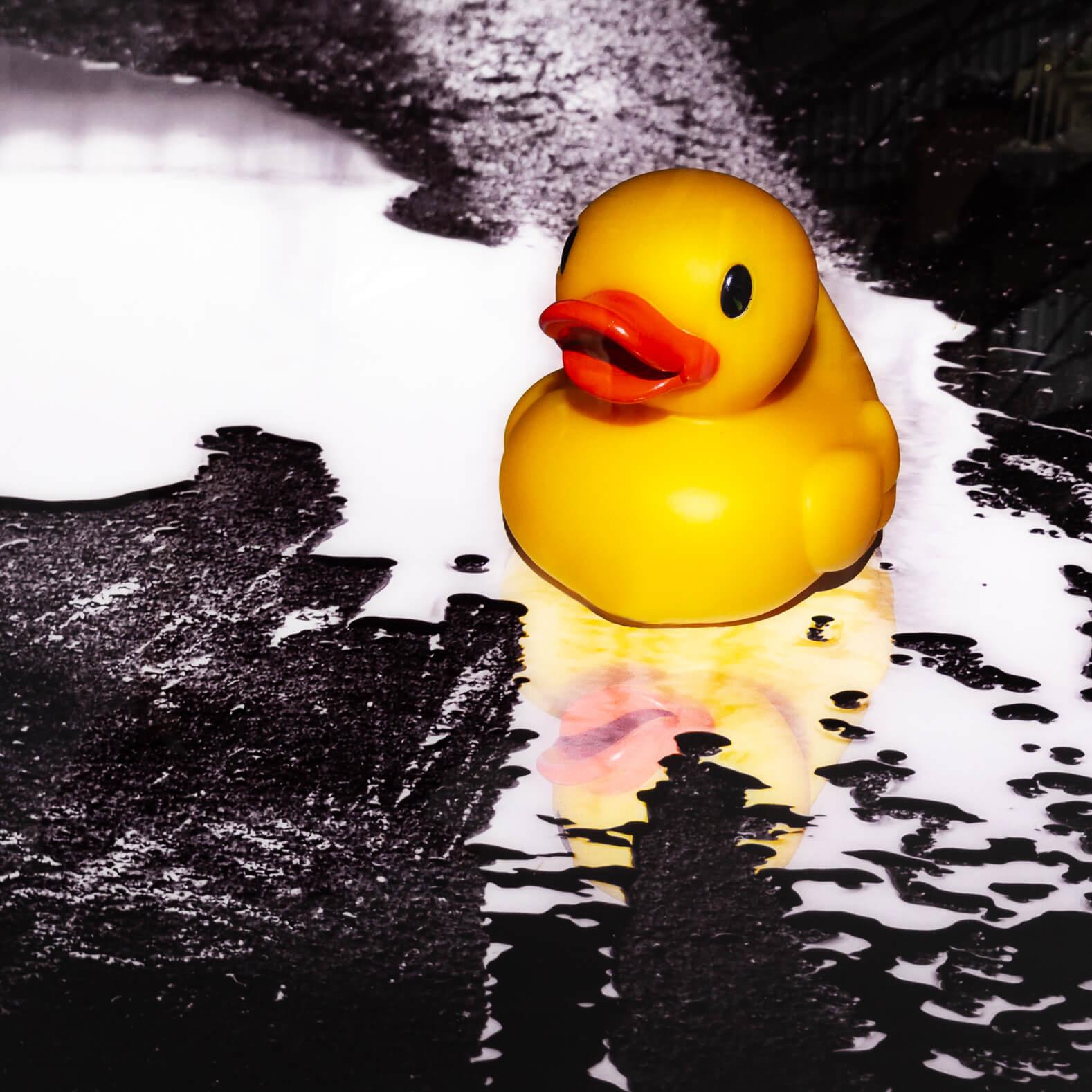 Contemporary Ivana Vostrakova ‘Spring Swimming’ Photographic Art Work For Sale