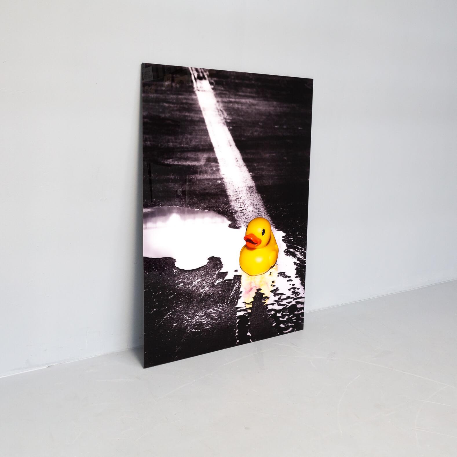 Paper Ivana Vostrakova ‘Spring Swimming’ Photographic Art Work For Sale