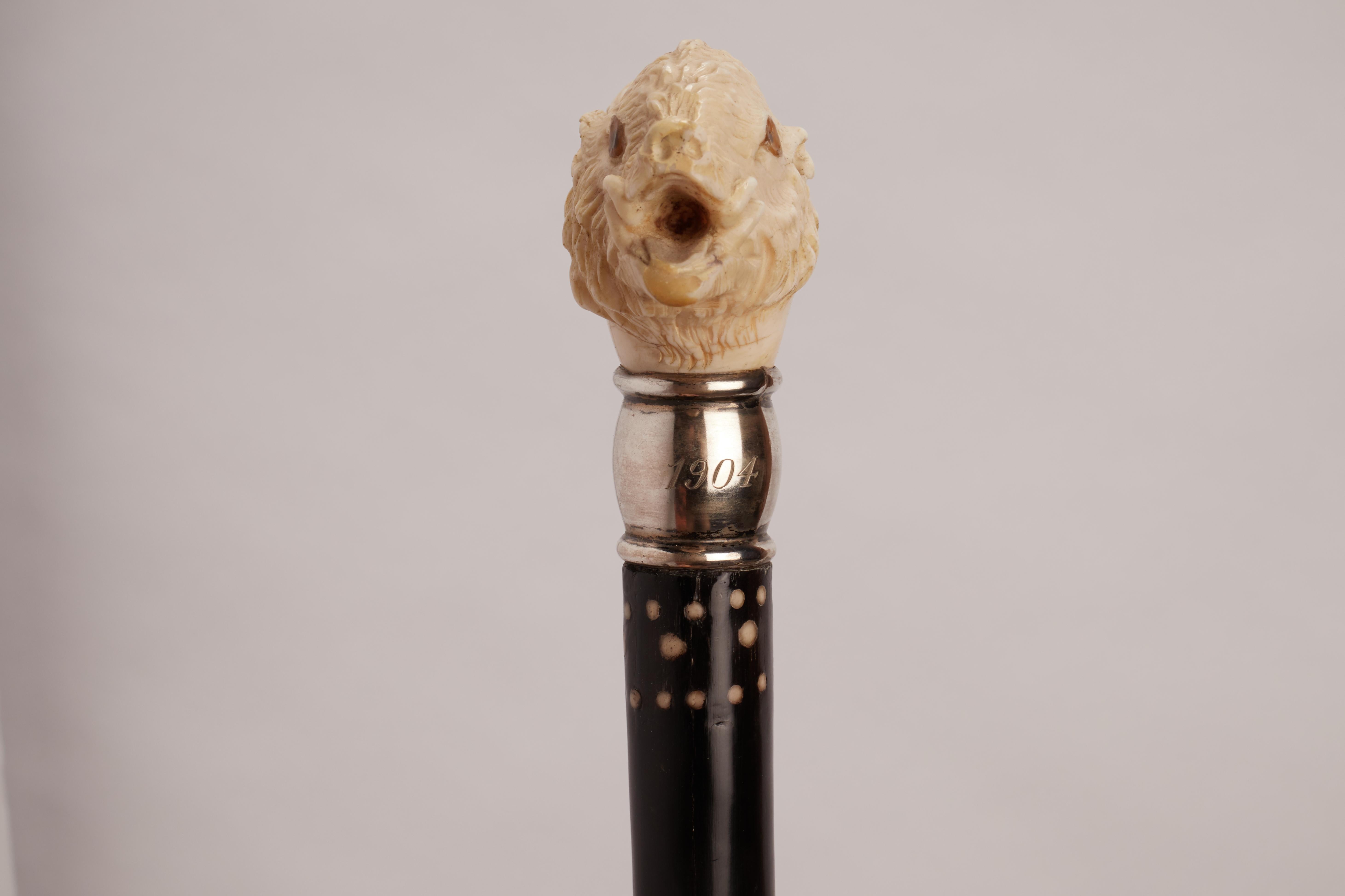 20th Century Ivory carved handle walking stick depicting a wild boar, USA 1910.  For Sale