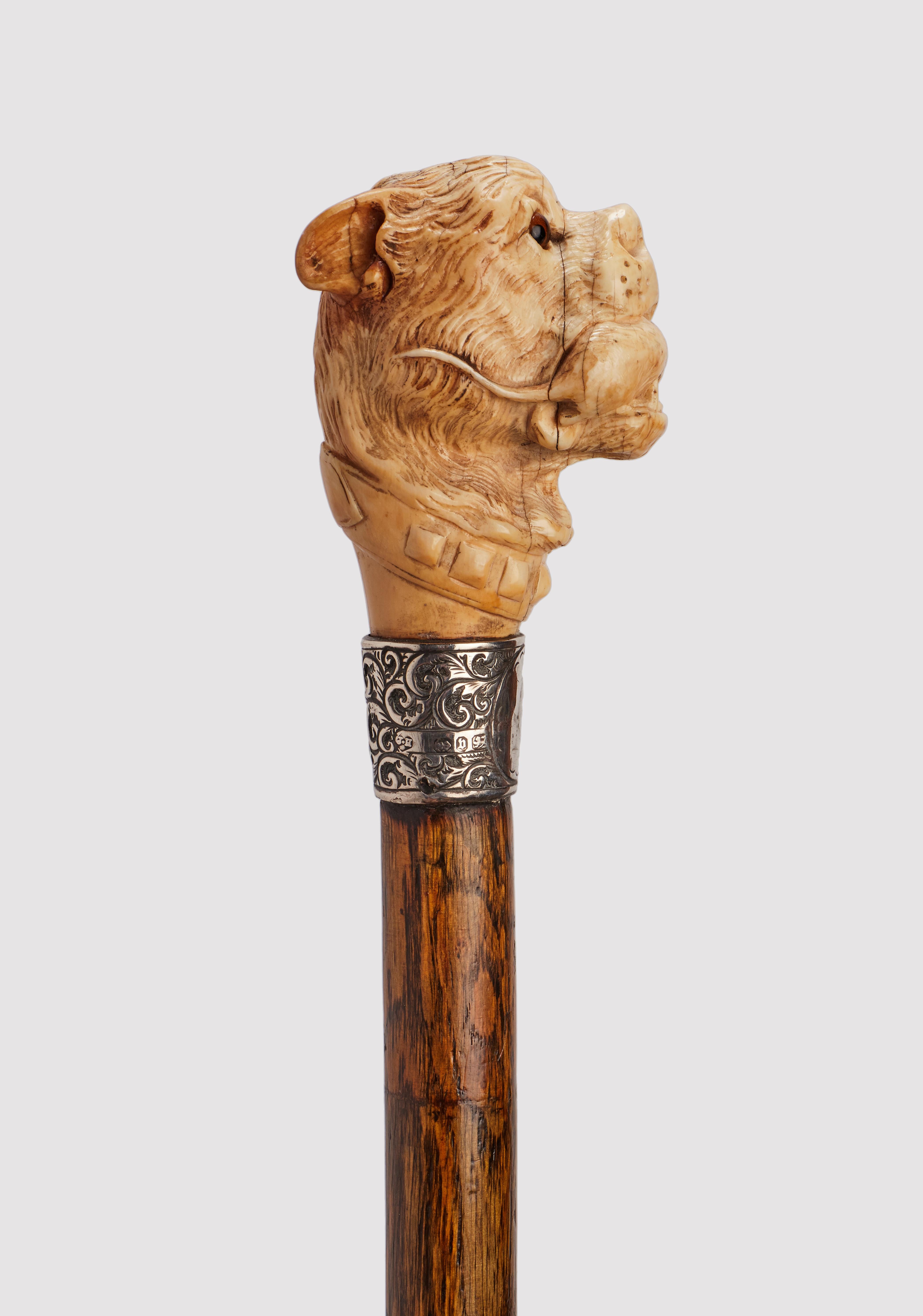 Canne : poignée en ivoire sculpté, représentant une tête de chien tenant une souris dans sa gueule. Arbre en bois de Malacca. Yeux en verre sulfurisé. Anneau en laiton. Virole en métal. Angleterre vers 1890.                                          