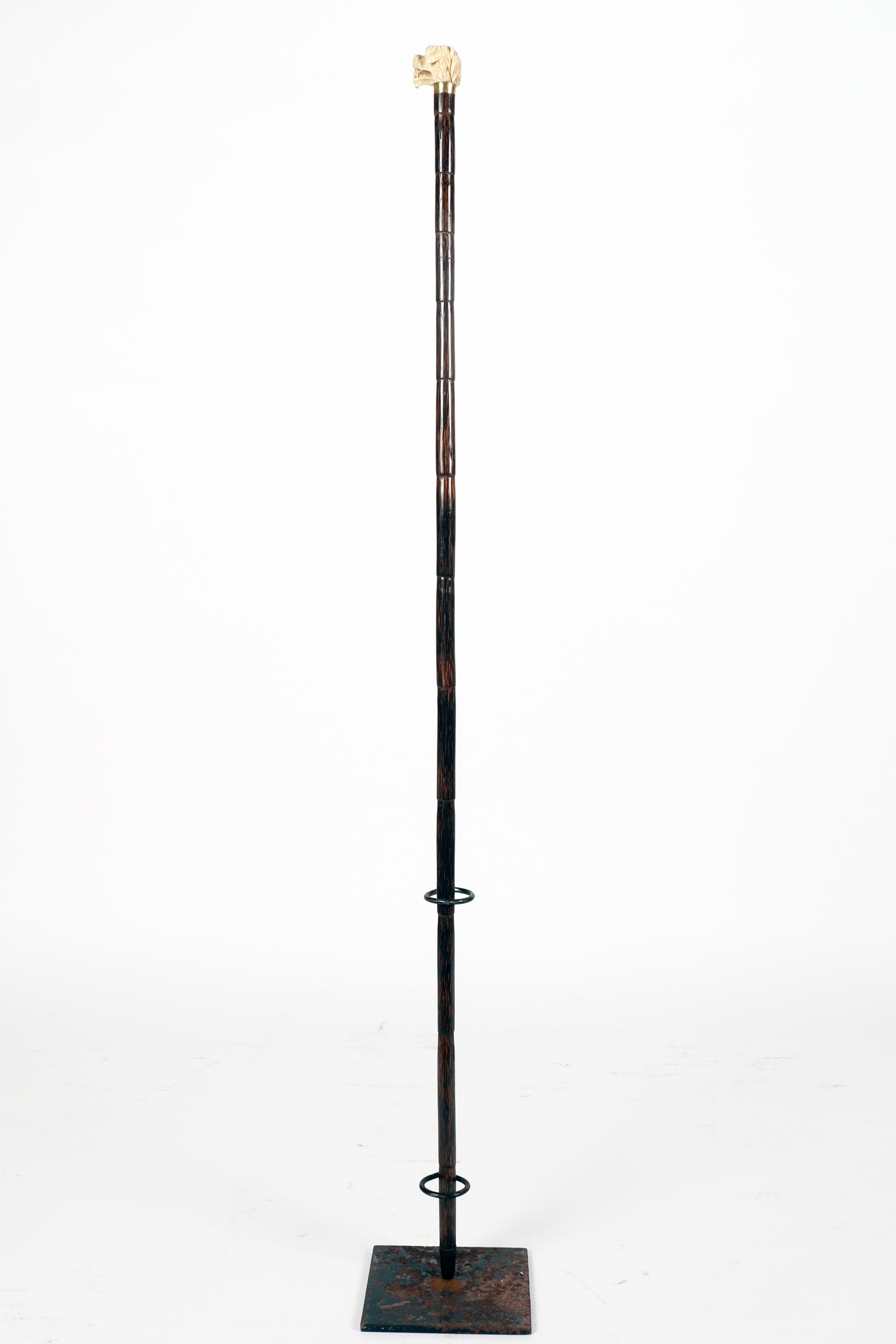 Bastone da passeggio con manico in avorio raffigurante una testa di cane, Inghilterra 1890. in vendita 6