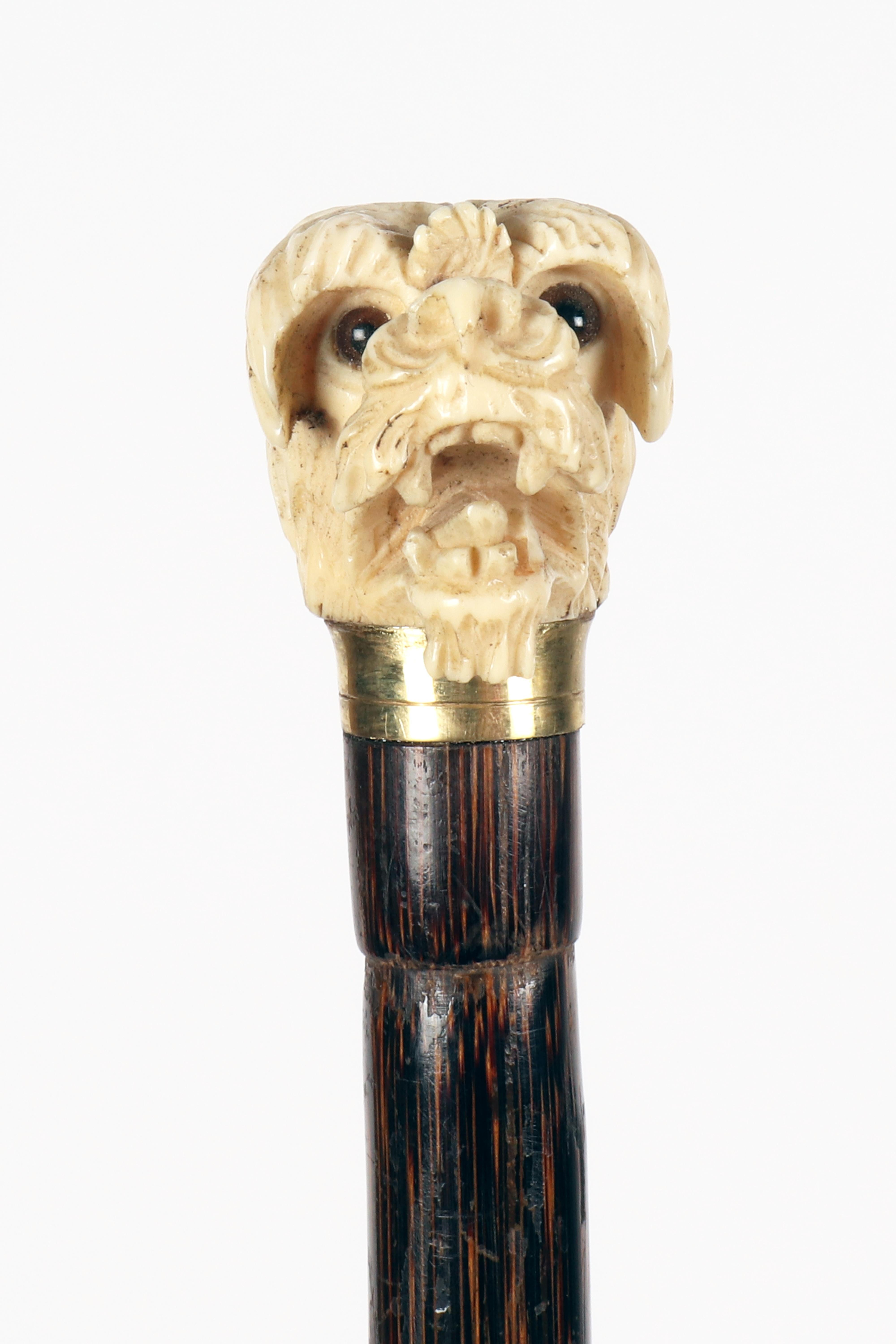 Bastone da passeggio con manico in avorio raffigurante una testa di cane, Inghilterra 1890. In condizioni buone in vendita a Milan, IT