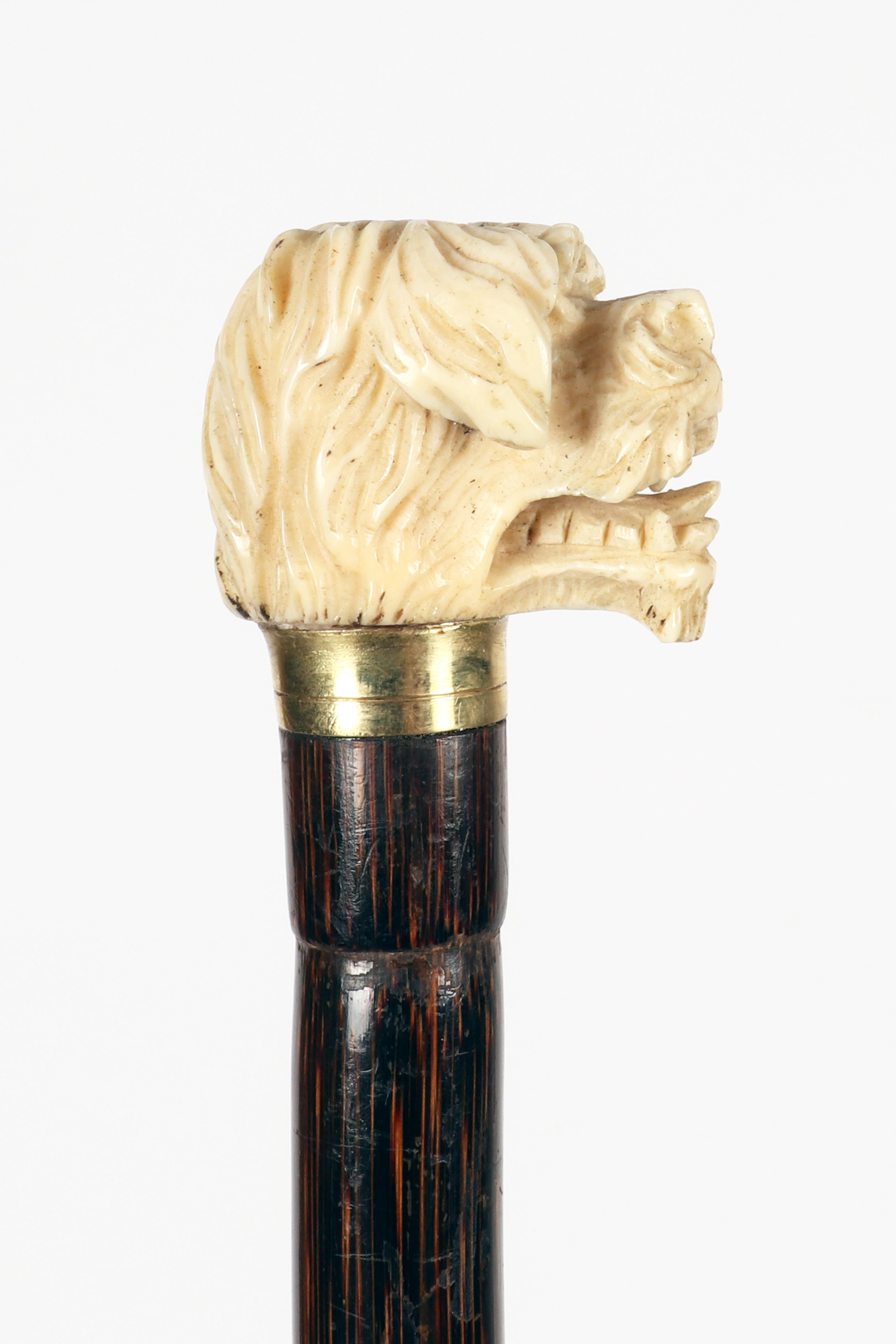 XIX secolo Bastone da passeggio con manico in avorio raffigurante una testa di cane, Inghilterra 1890. in vendita
