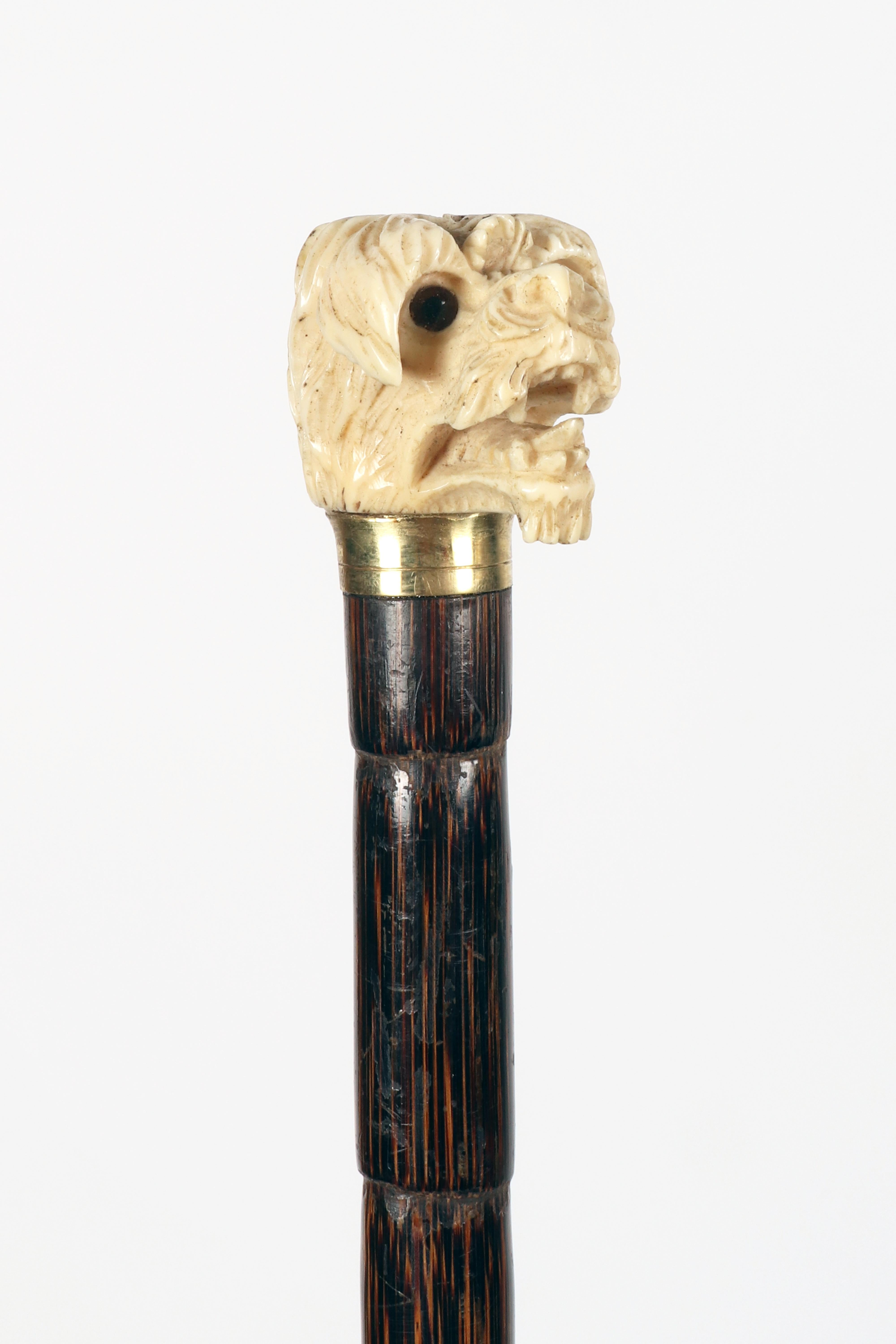 Bastone da passeggio con manico in avorio raffigurante una testa di cane, Inghilterra 1890. in vendita 1