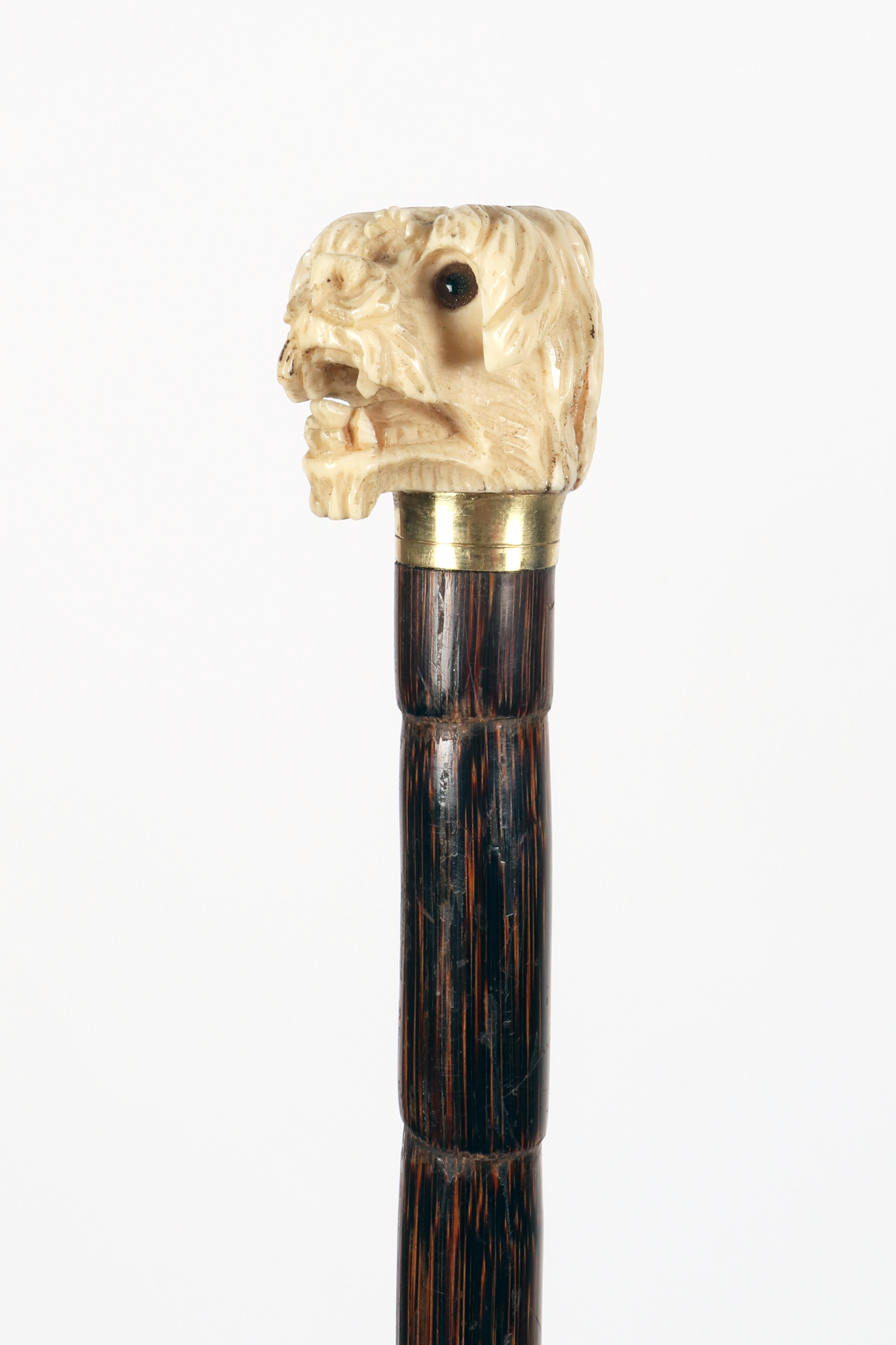 Bastone da passeggio con manico in avorio raffigurante una testa di cane, Inghilterra 1890. in vendita 2