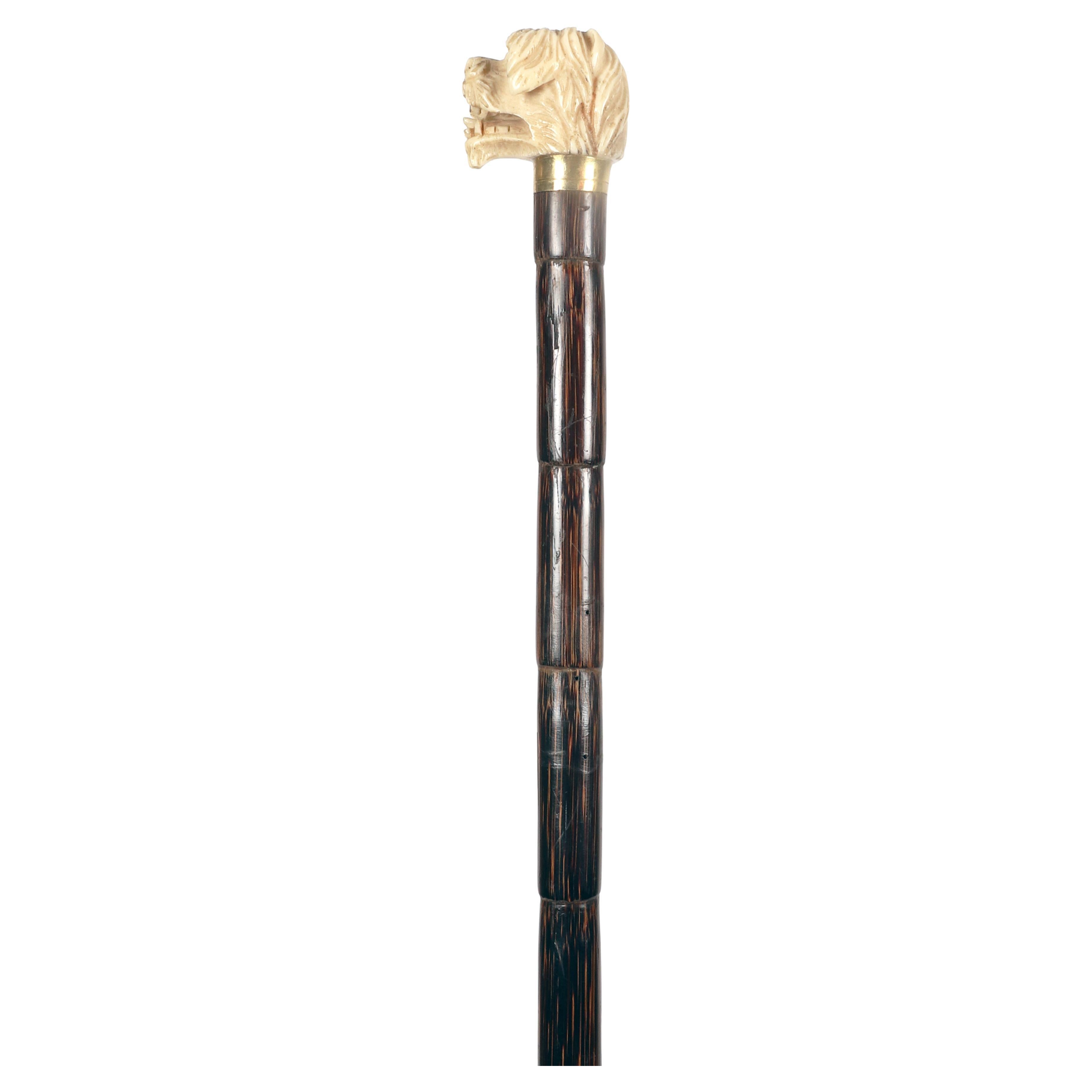 Bastone da passeggio: pomello in avorio intagliato raffigurante una testa di cane con la bocca aperta. Occhi in pasta di vetro. Anello in ottone. Albero in Wood Wood. Ghiera in ottone. Inghilterra, circa 1890.
(SPEDIZIONE SOLO IN EUROPA)