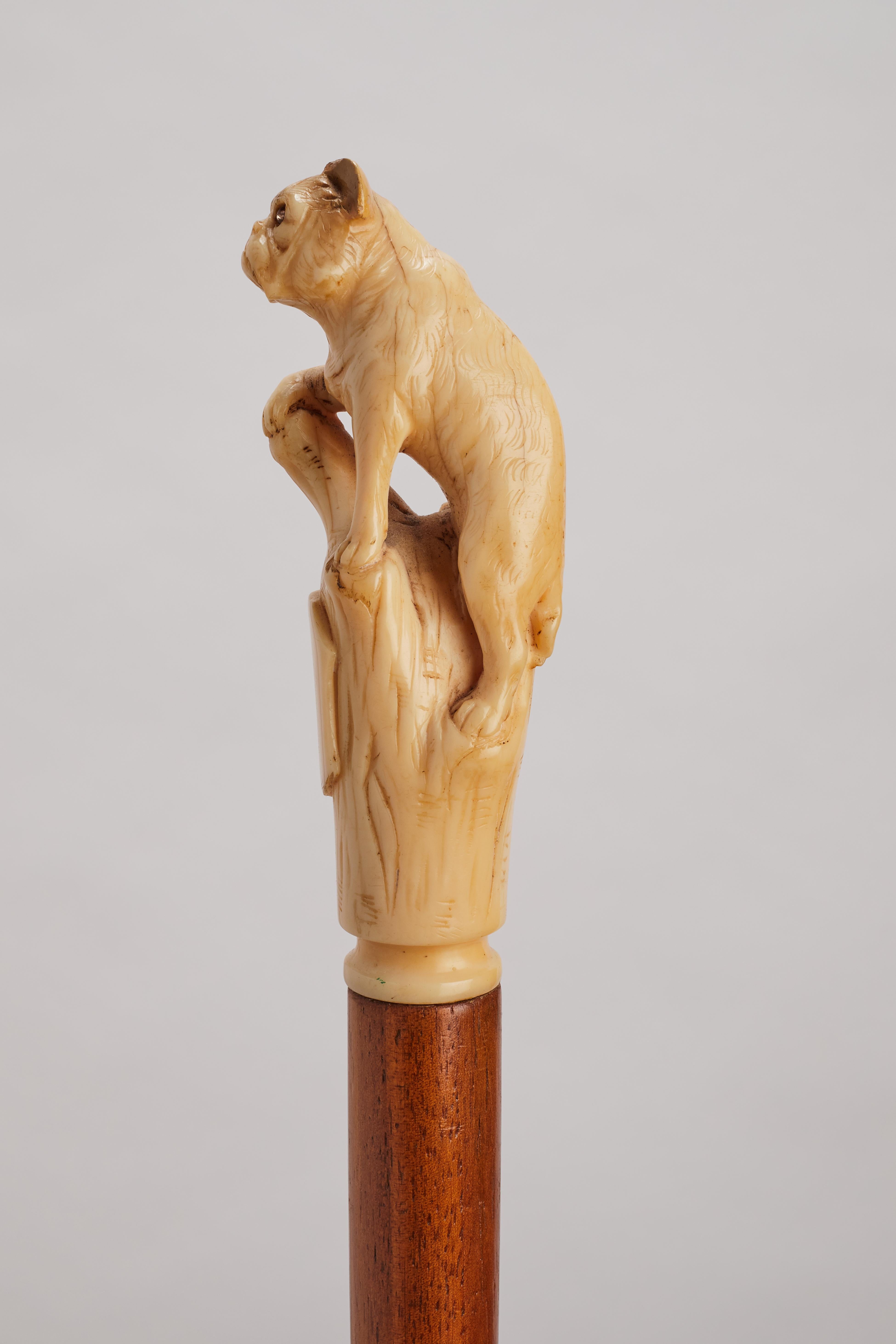 Ivory handle walking stick depicting a French bulldog, France 1880. In Good Condition For Sale In Milan, IT
